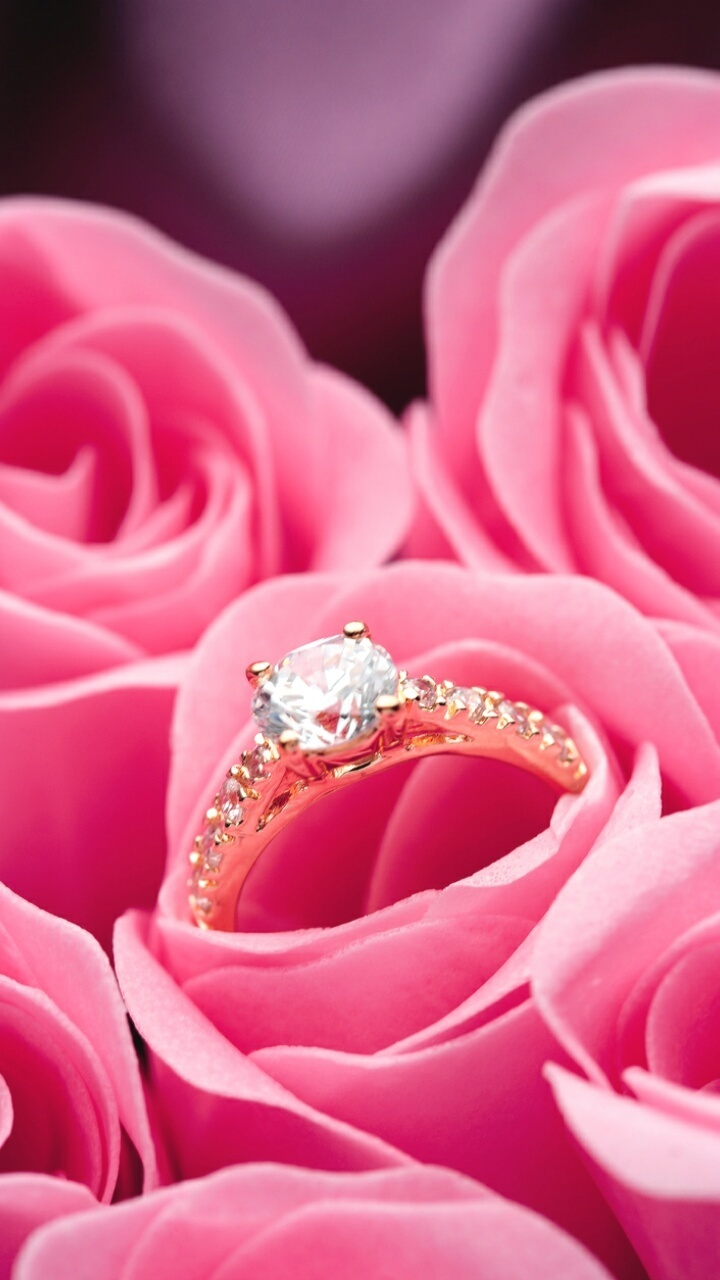 Pink, Rose, And Ring Image - Guy Proposing With Ring And Flowers - HD Wallpaper 