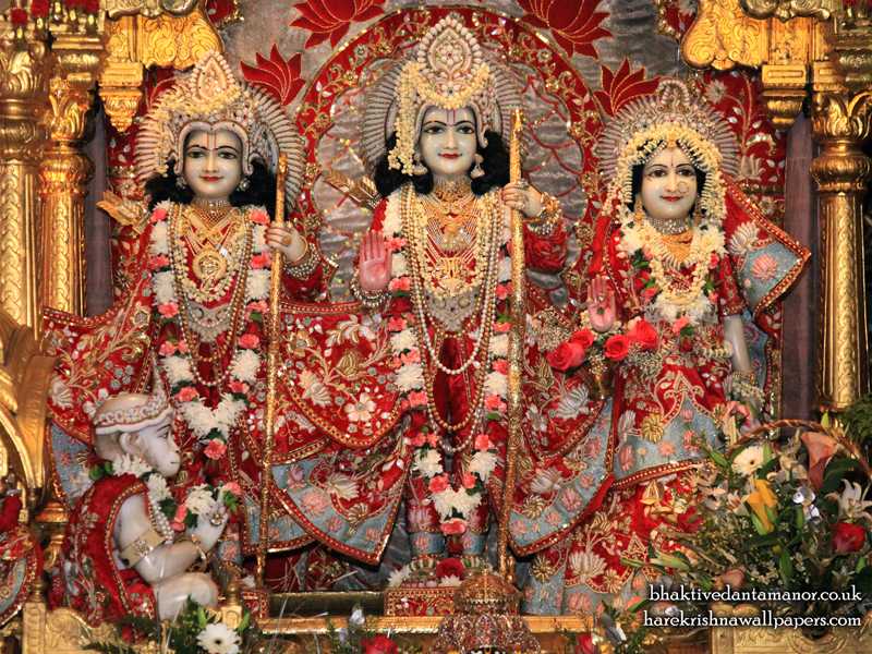 Sri Sri Sita Rama Close Up Wallpaper - Iskcon Ram Laxman Sita Darshan - HD Wallpaper 