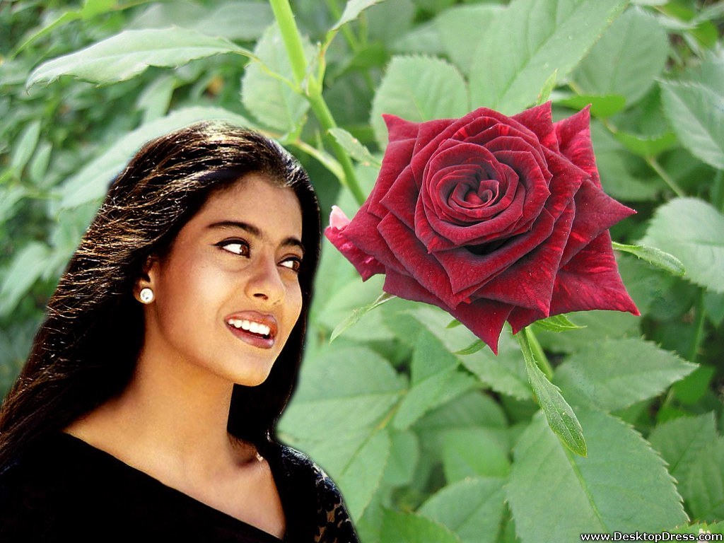 Kajol - Rose Flower With Kajol - HD Wallpaper 
