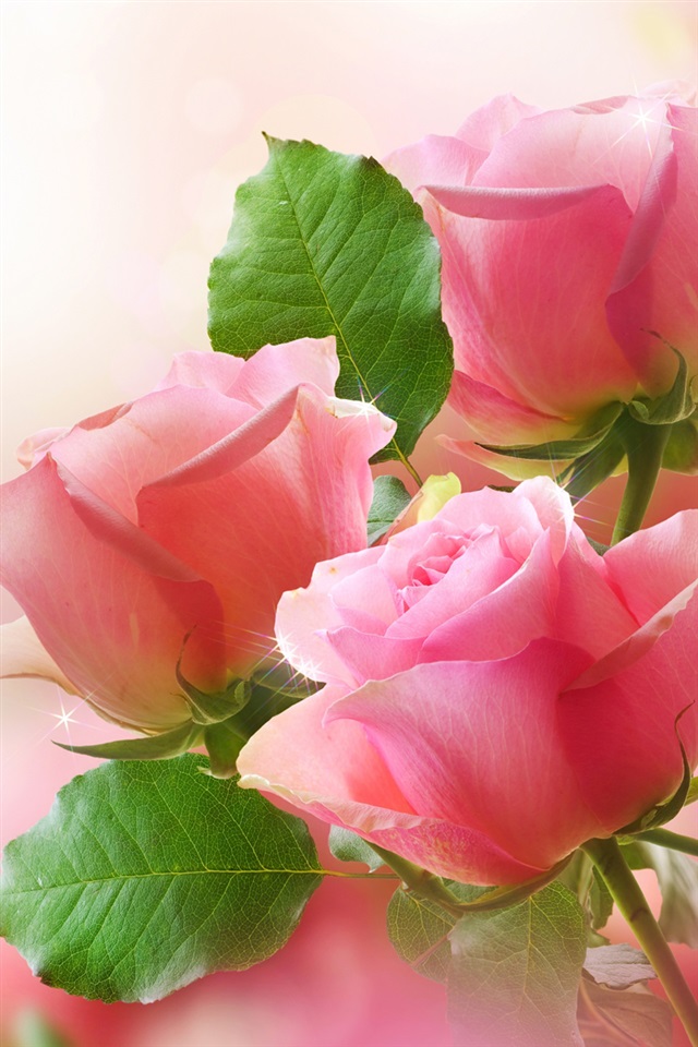 Roses In Memory - HD Wallpaper 