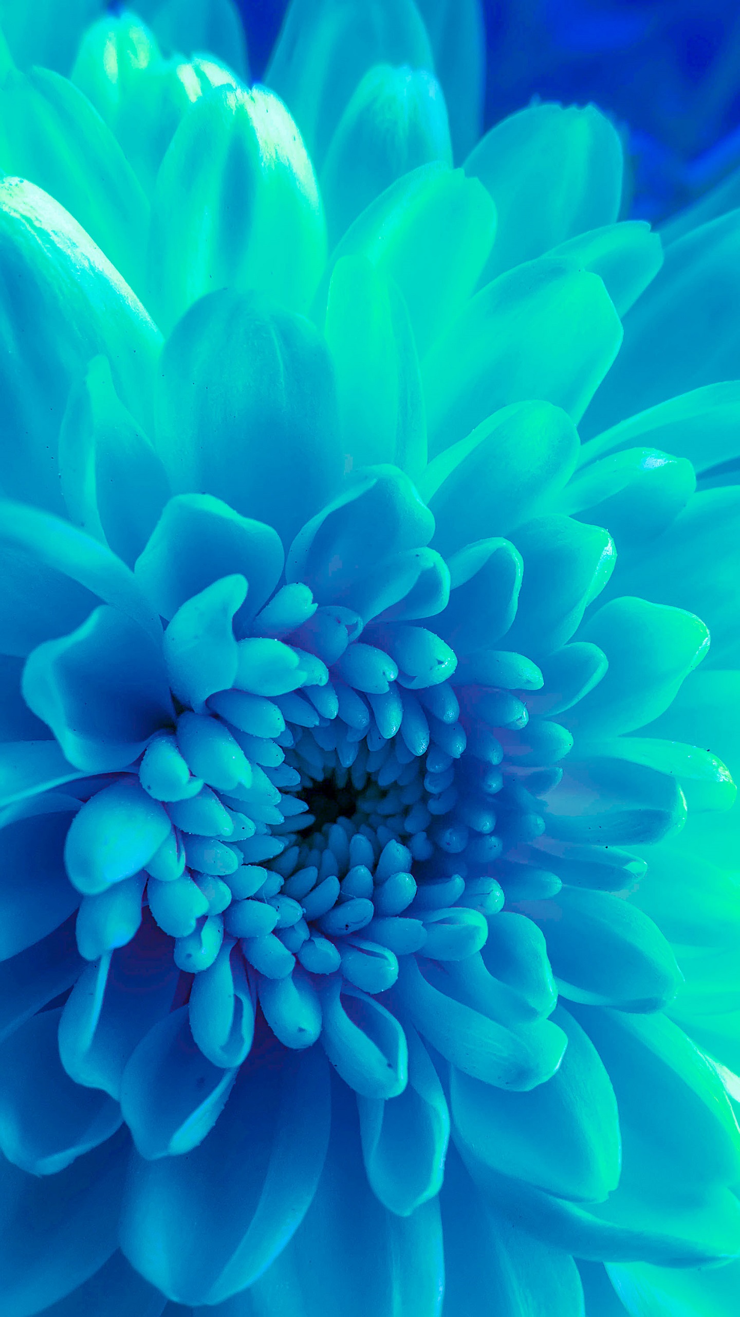 Galaxy Note 10 Plus Wallpaper Note 10 Wallpaper 02 - Note 10 Plus - 1440x2560 Wallpaper Galaxy Note 10 Plus Wallpaper Note 10 Wallpaper 02 - Note 10 Plus - 1440x2560 Wallpaper