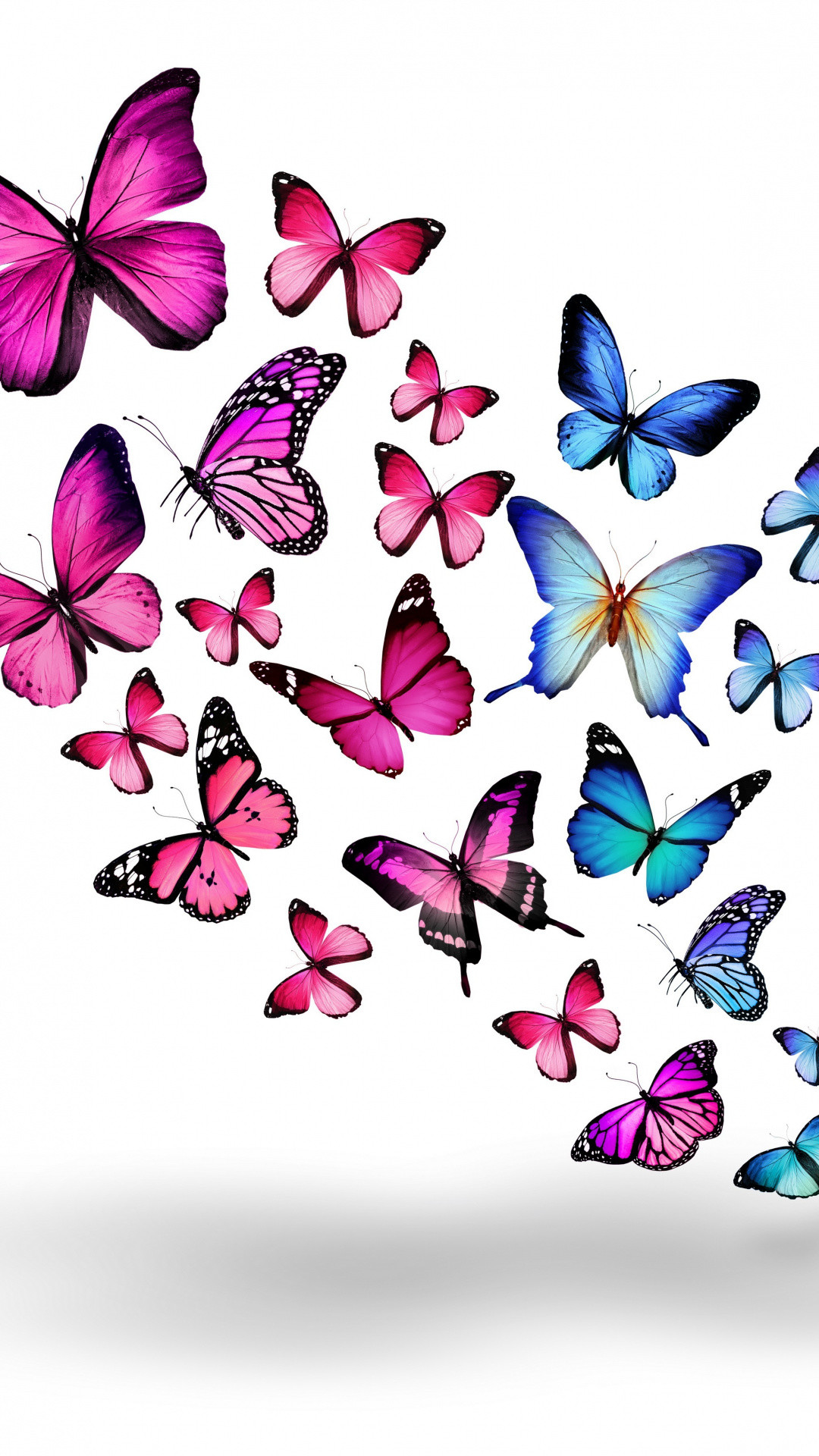 1080x1920, Pollinator, Purple, Butterfly, Design, Moths - Butterflies In White Background - HD Wallpaper 