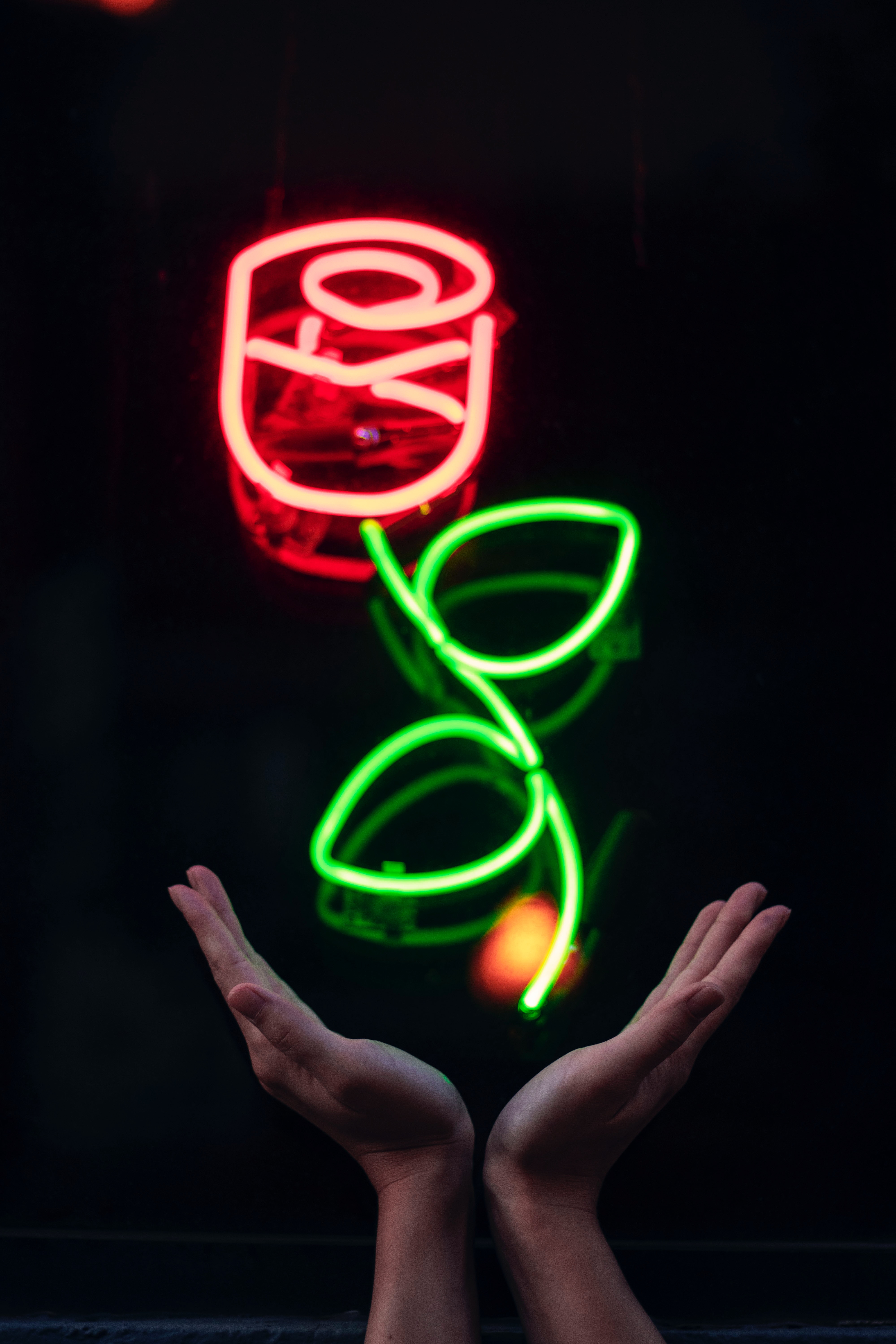 Wallpaper Hands, Neon, Flower, Signboard, Glow, Light - Wallpaper - HD Wallpaper 