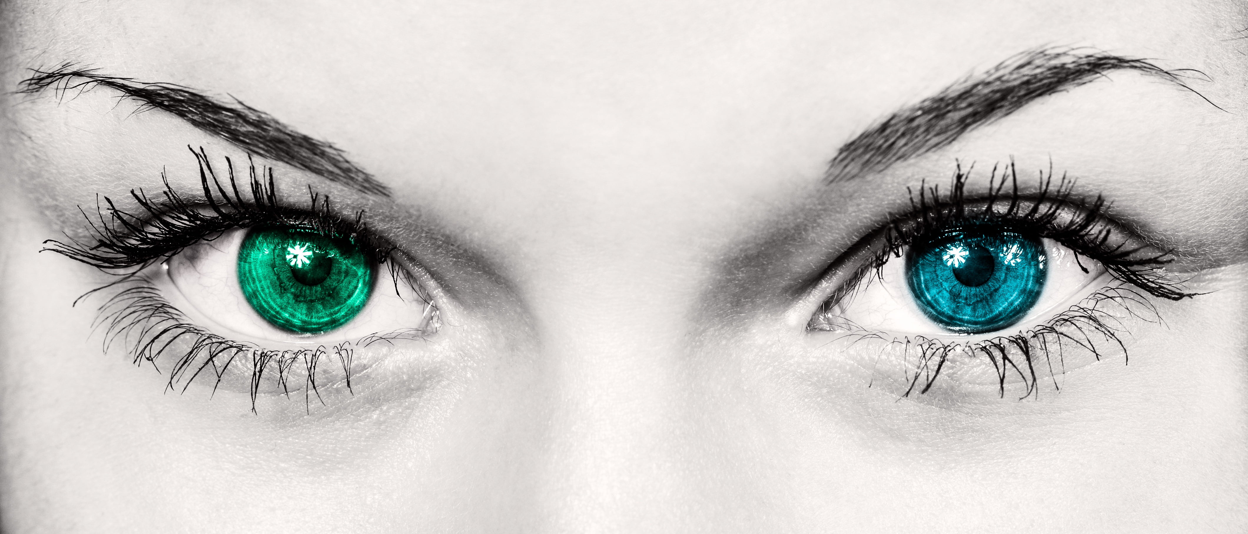 Eyes Staring At You - HD Wallpaper 