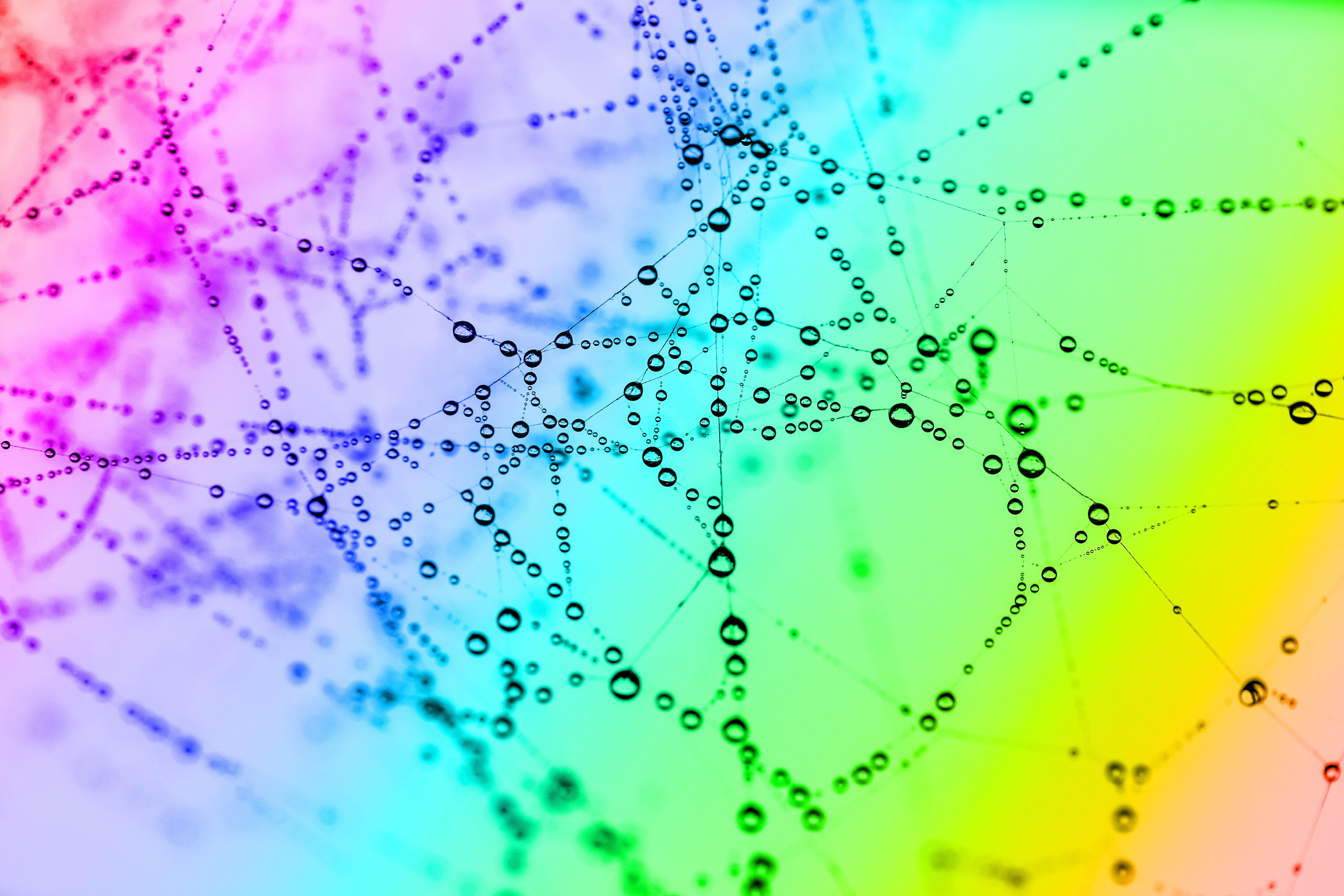 Cobweb, Drops, Color, Bright, Macro - Ultra Hd Background Colour Hd - HD Wallpaper 