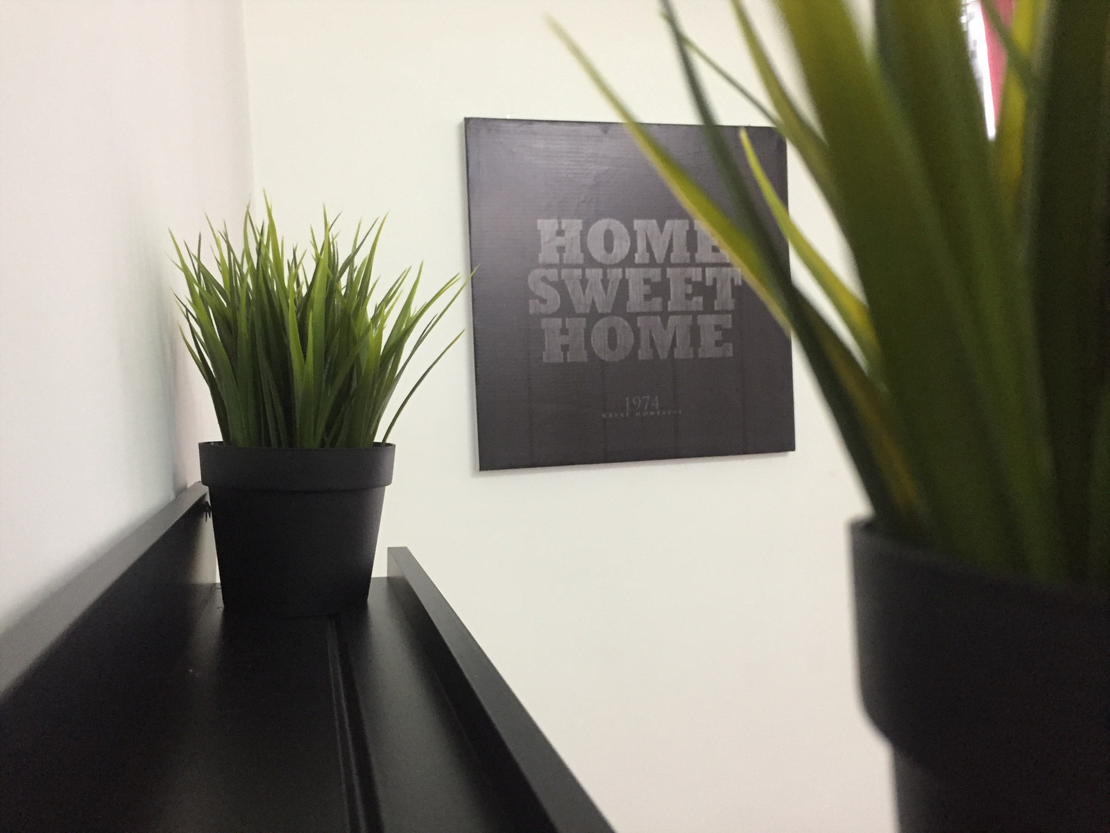 Flowerpot - HD Wallpaper 