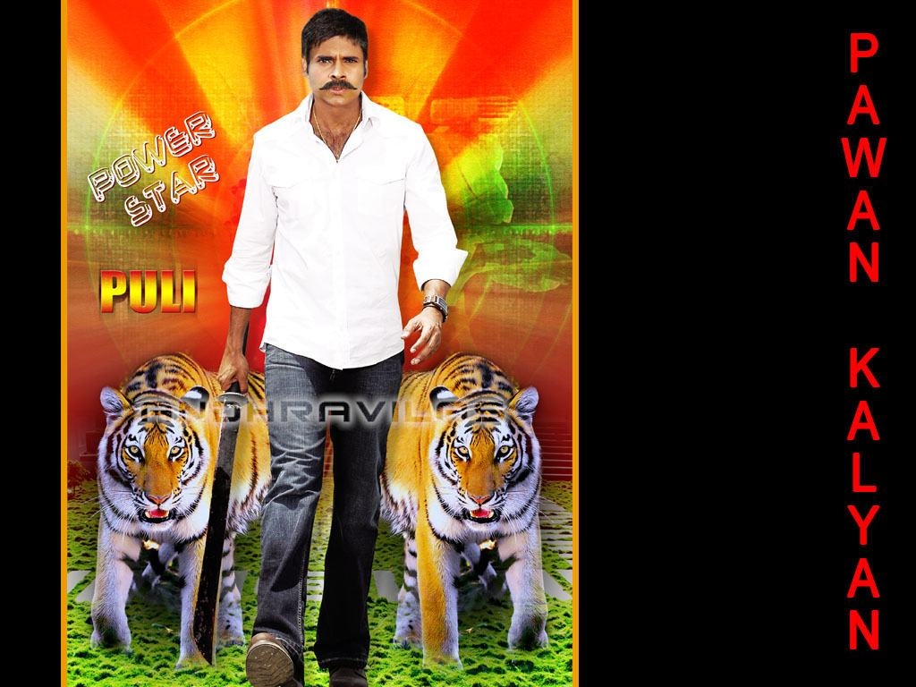 Puli Wallpaper - Bengal Tiger - HD Wallpaper 