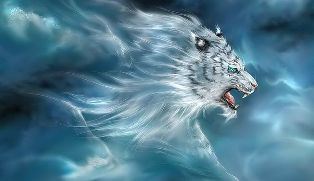 Deus Tigre Branco - HD Wallpaper 