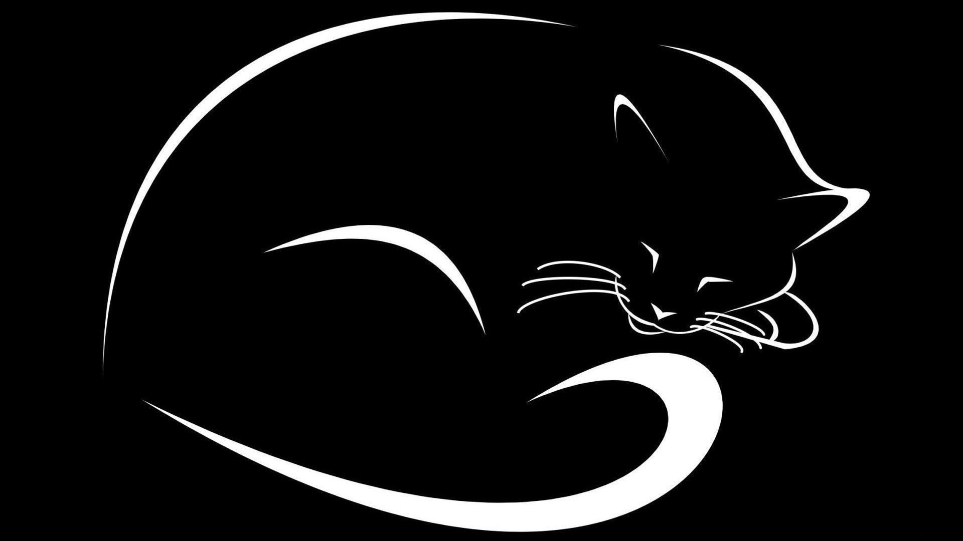 Hitam Kucing Putih Abstrak - White Cat Logo Black Background - HD Wallpaper 