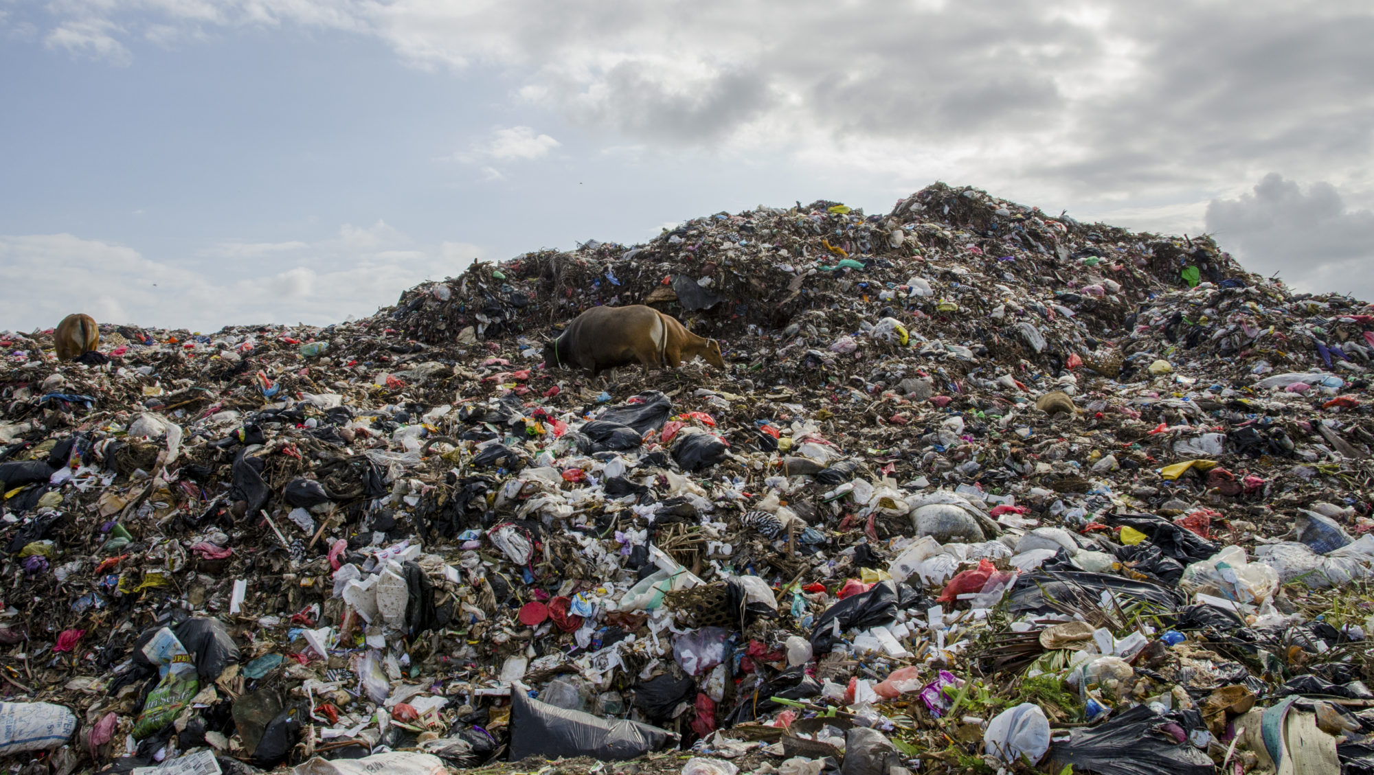 Issue - Waste - HD Wallpaper 