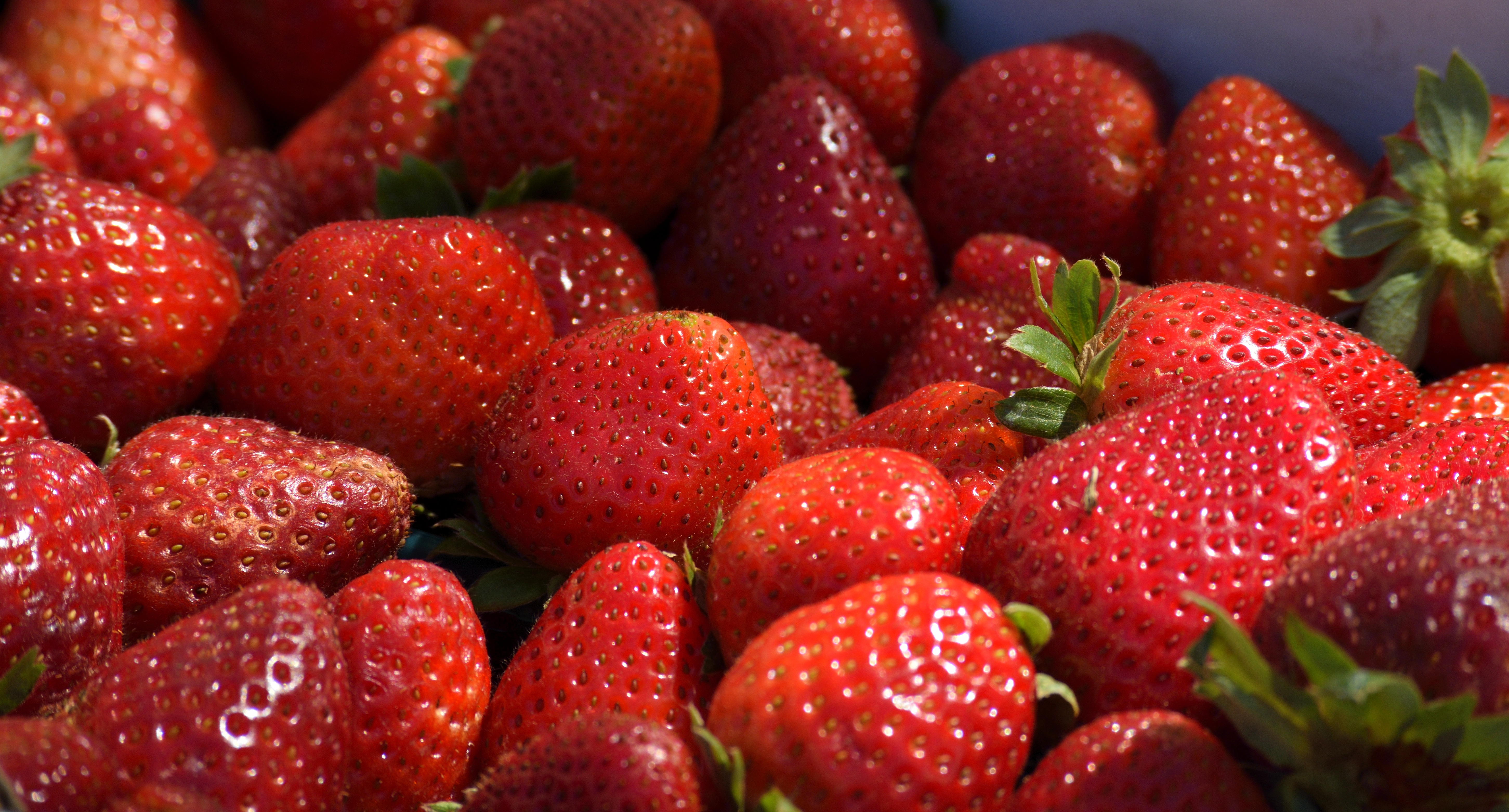 Wallpaper Strawberries, Berries, Ripe, Sweet - Kelompok Benda Yang Berwarna Merah - HD Wallpaper 