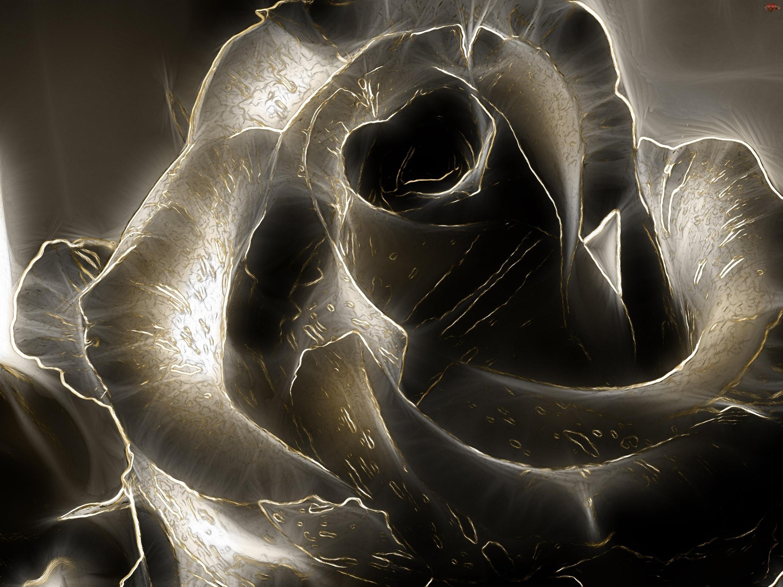Mawar Hitam - Black Rose Wallpaper Hd 3d - HD Wallpaper 