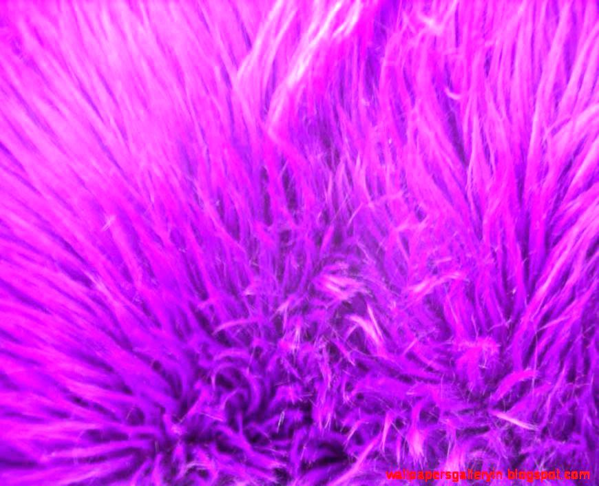 Pink Fur Wallpaper - Wallpaper - HD Wallpaper 