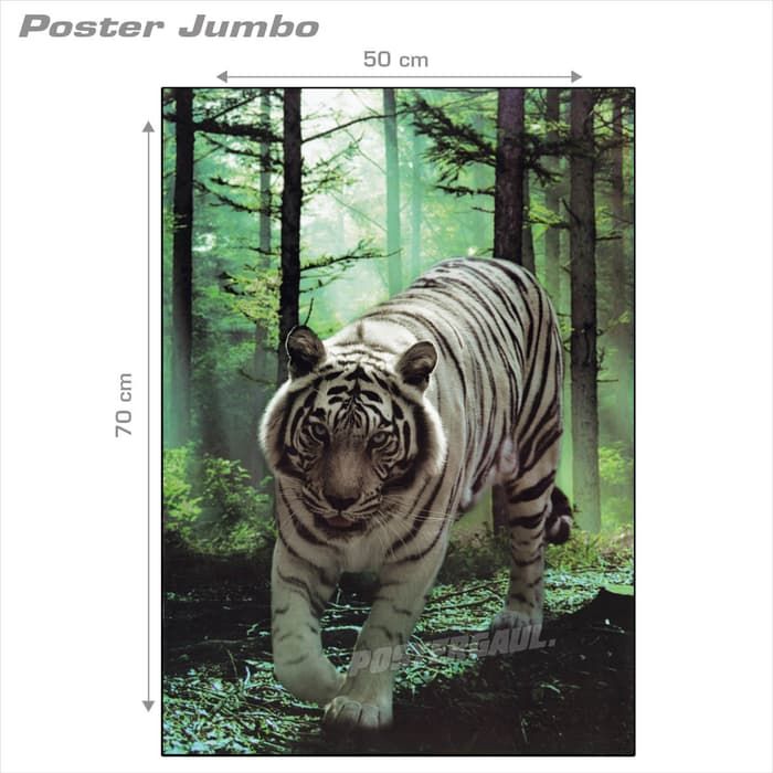 Poster Harimau Putih 01 Jumbo Size 50 X 70 Cm - Forest Energy - HD Wallpaper 