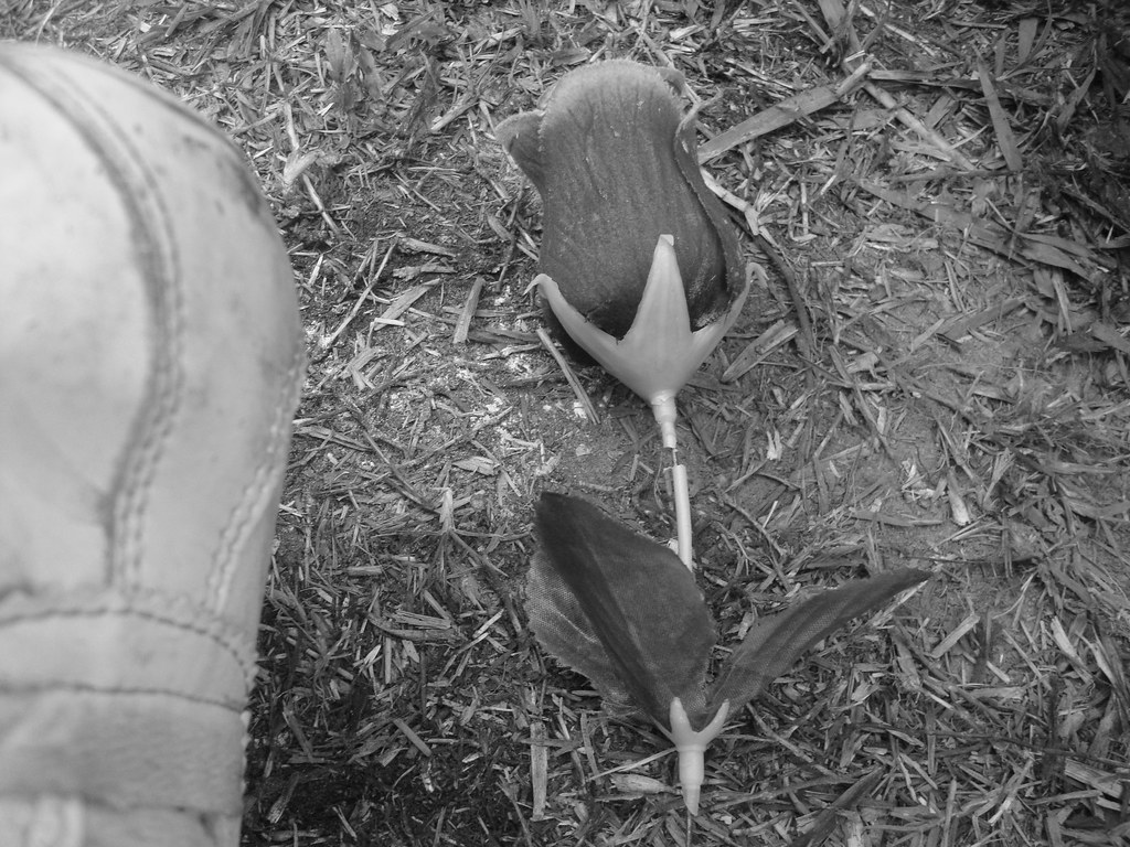 Monochrome - HD Wallpaper 