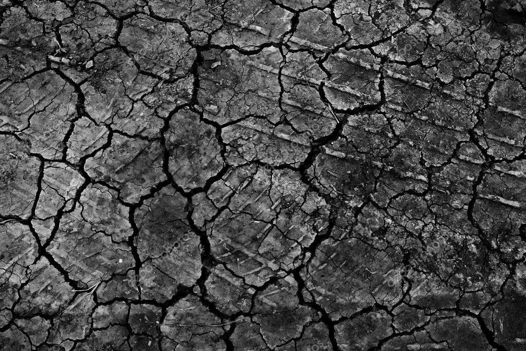 Papel De Parede Chão Seco - HD Wallpaper 