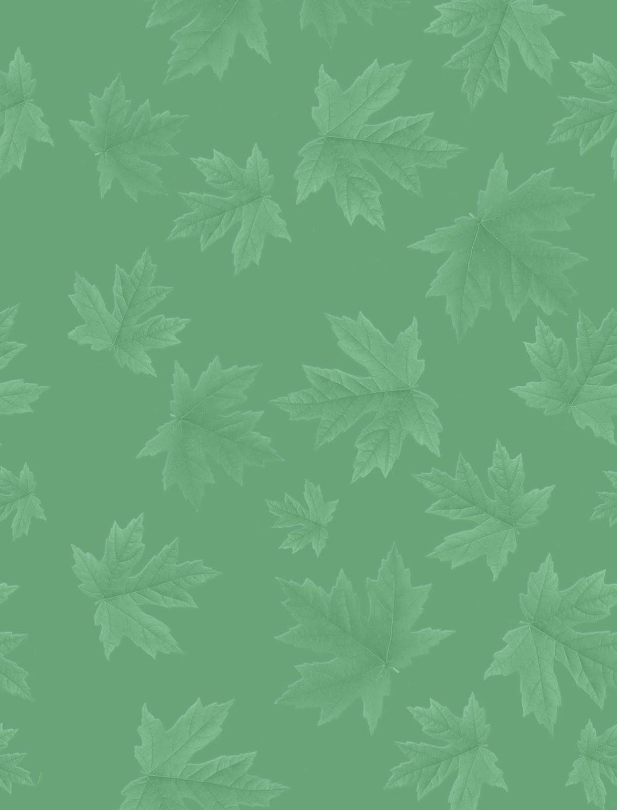 Maple Leaf - HD Wallpaper 