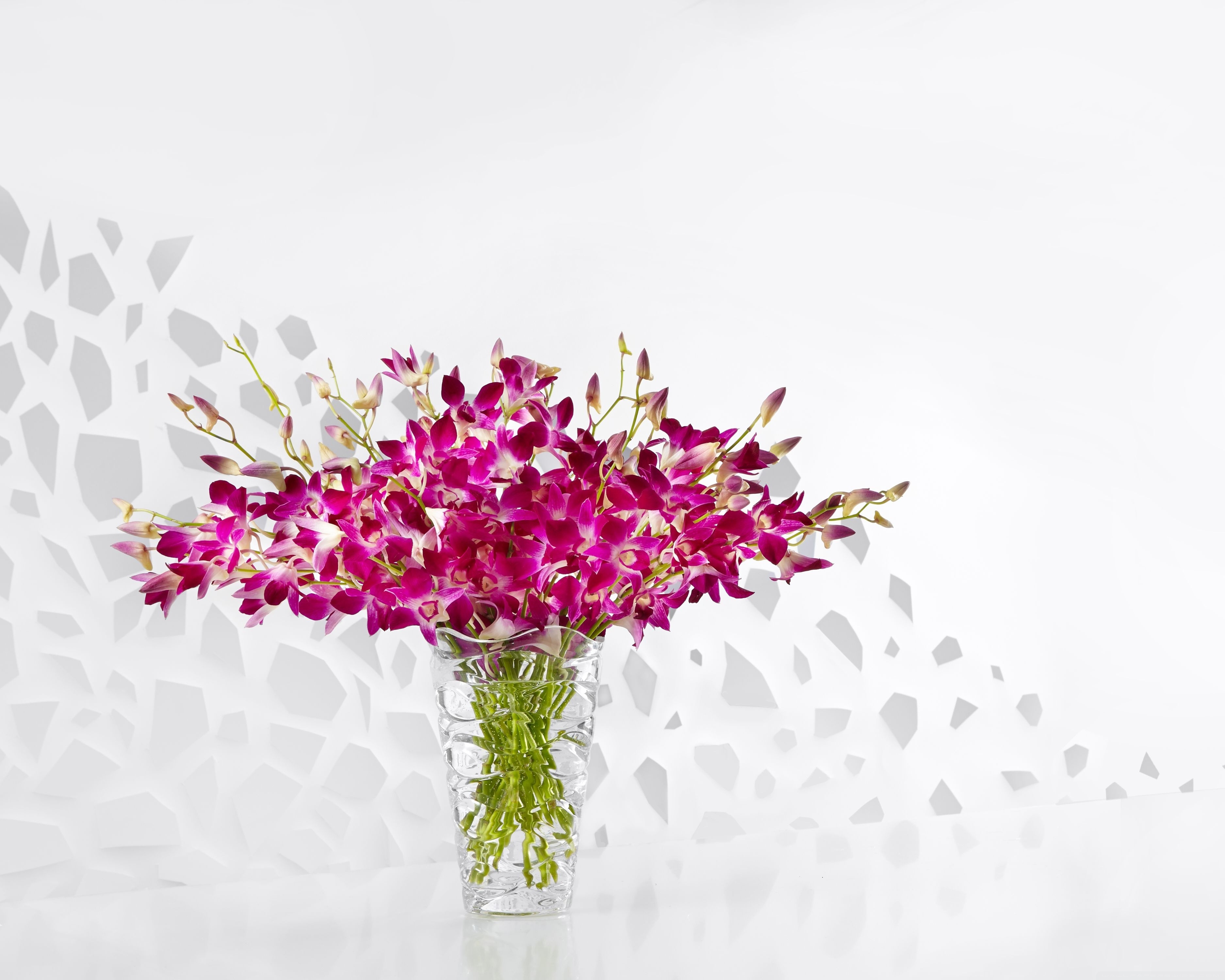 Flower In Vase 4k - HD Wallpaper 