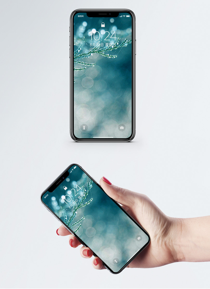 Wallpaper Putih Cabang Latar Belakang Wallpaper Ponsel - Лимон Обои На Телефон - HD Wallpaper 