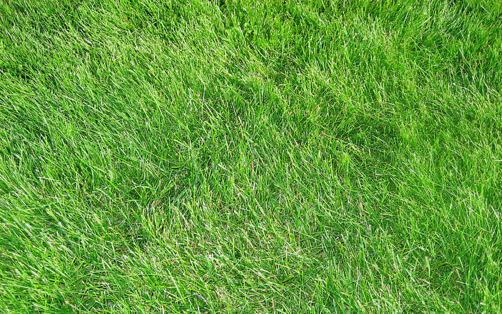 Bola Sepak Rumput Padang Widescreen 02 Wallpaper - Lawn - HD Wallpaper 