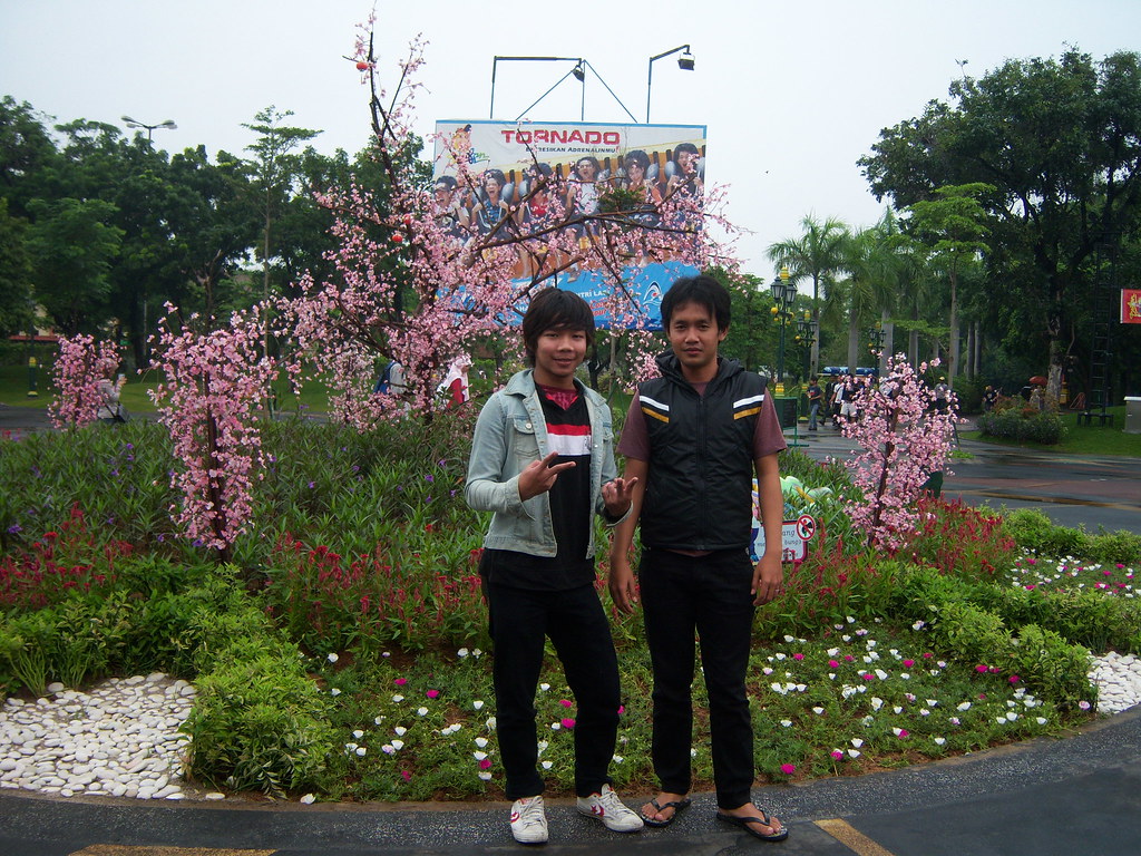 Botanical Garden - HD Wallpaper 