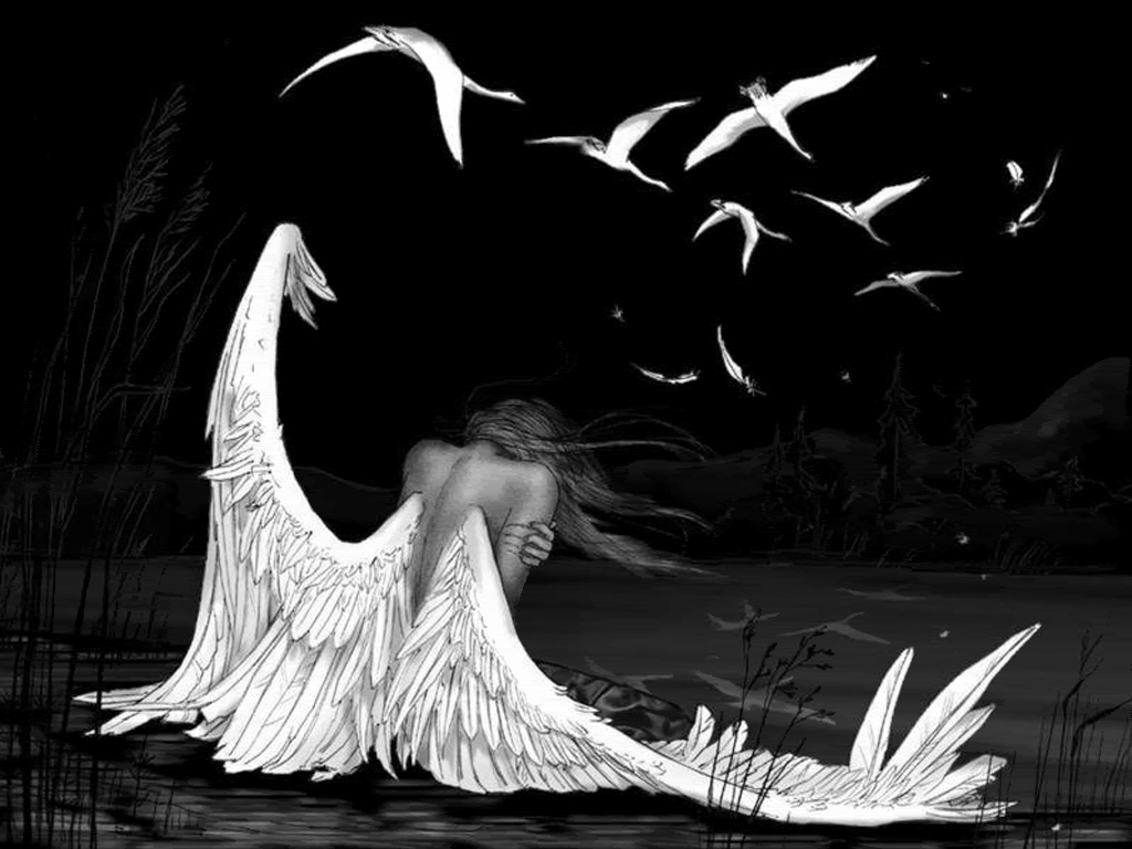 Gambar Black Angel - Broken Wing Fallen Angel - HD Wallpaper 