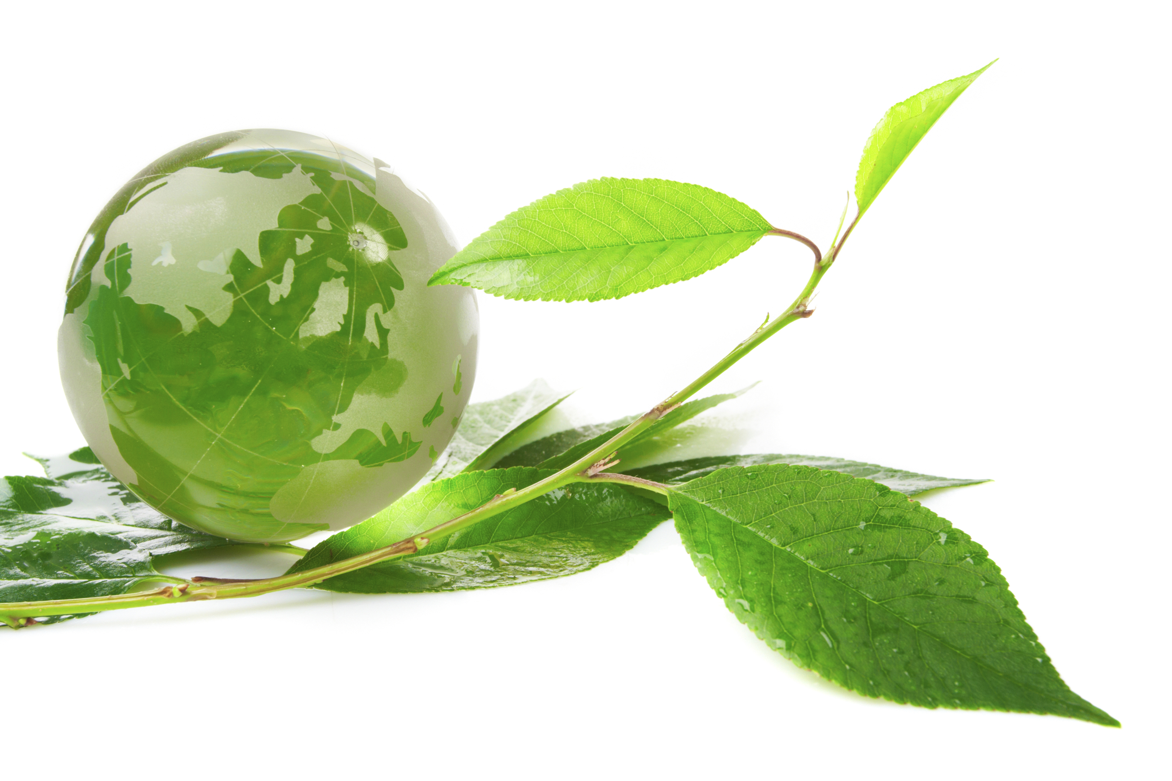Pearl Waterless - HD Wallpaper 
