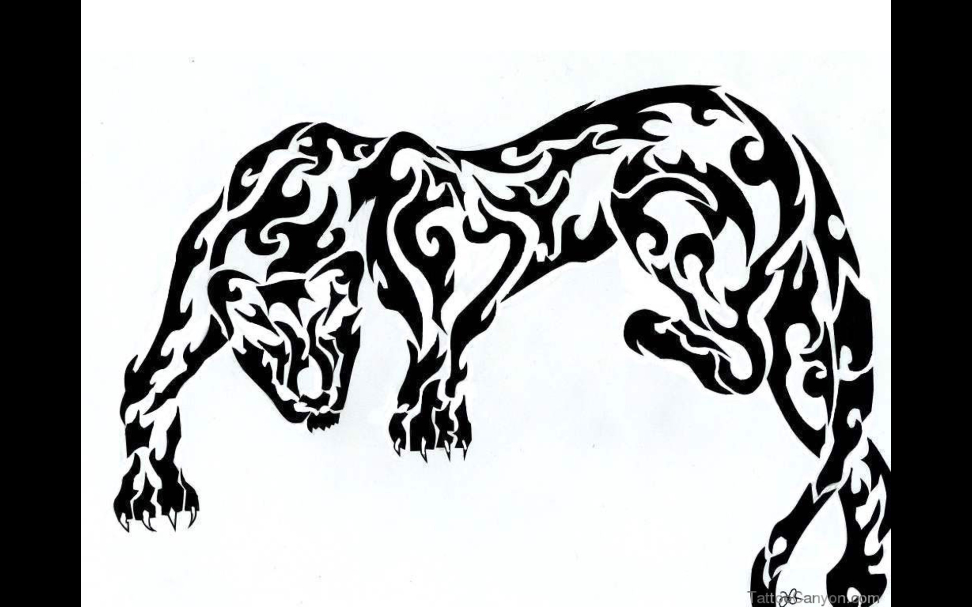 Black Shade Of Panther Tattoo Wallpaper Tattoo Design - Pantera Maori Tattoo - HD Wallpaper 