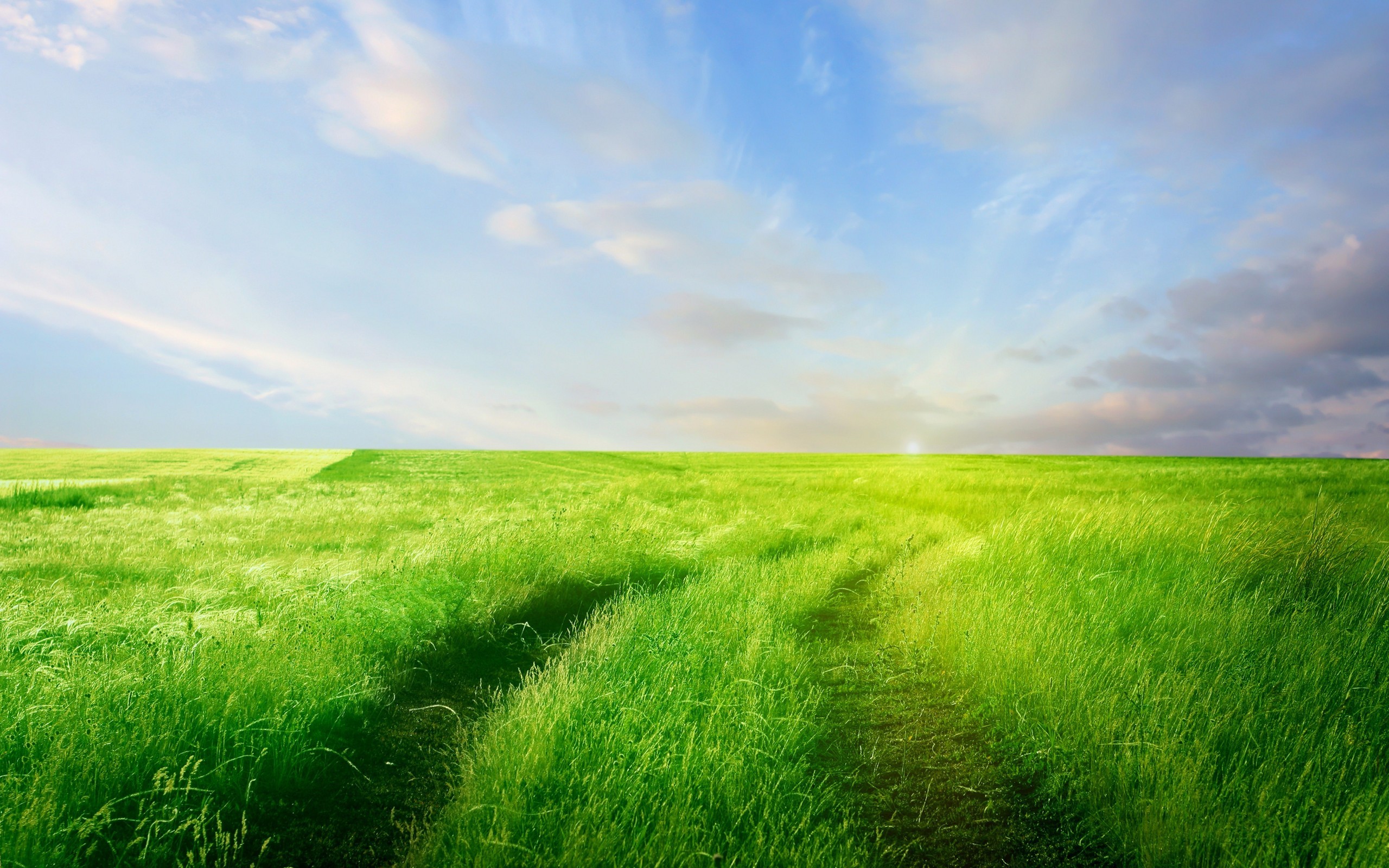 Beautiful Green Wallpaper 2560x1600 Wallpaper Teahub Io