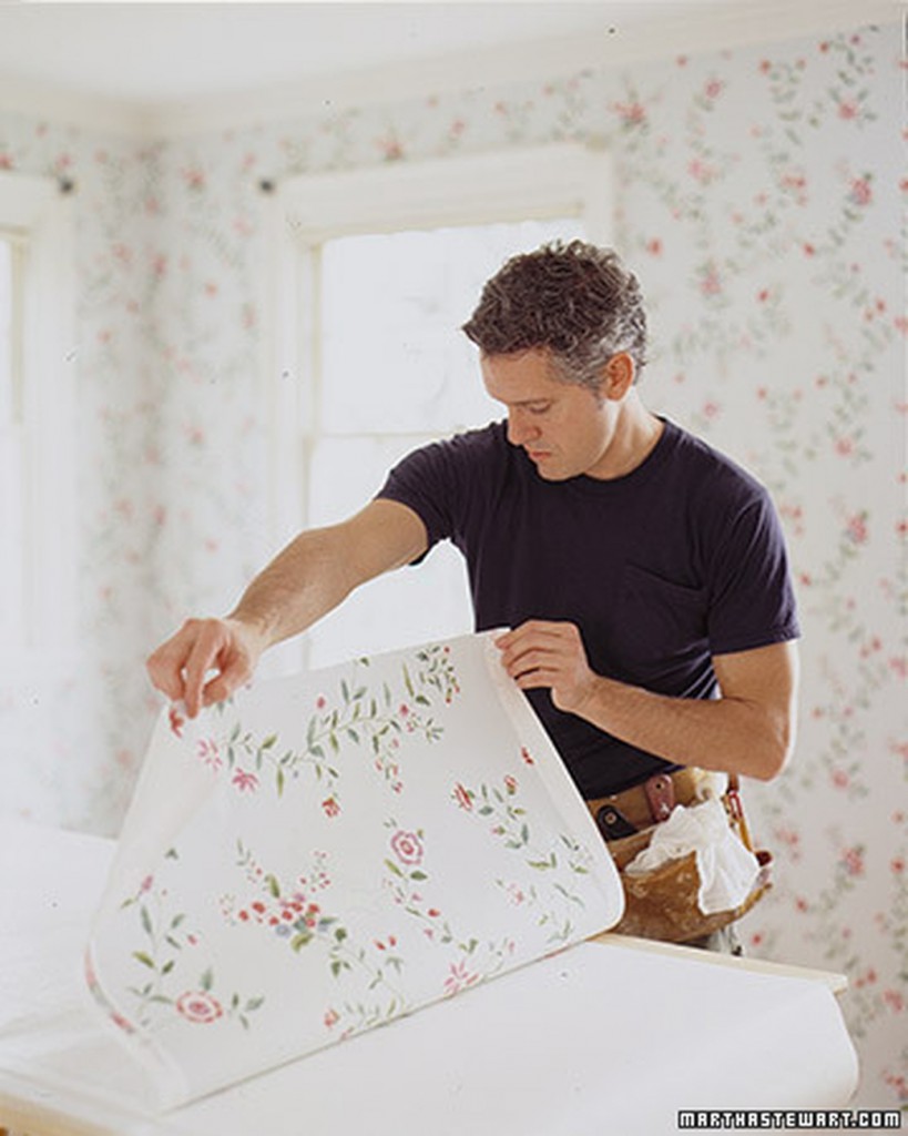 Martha Stewart - HD Wallpaper 