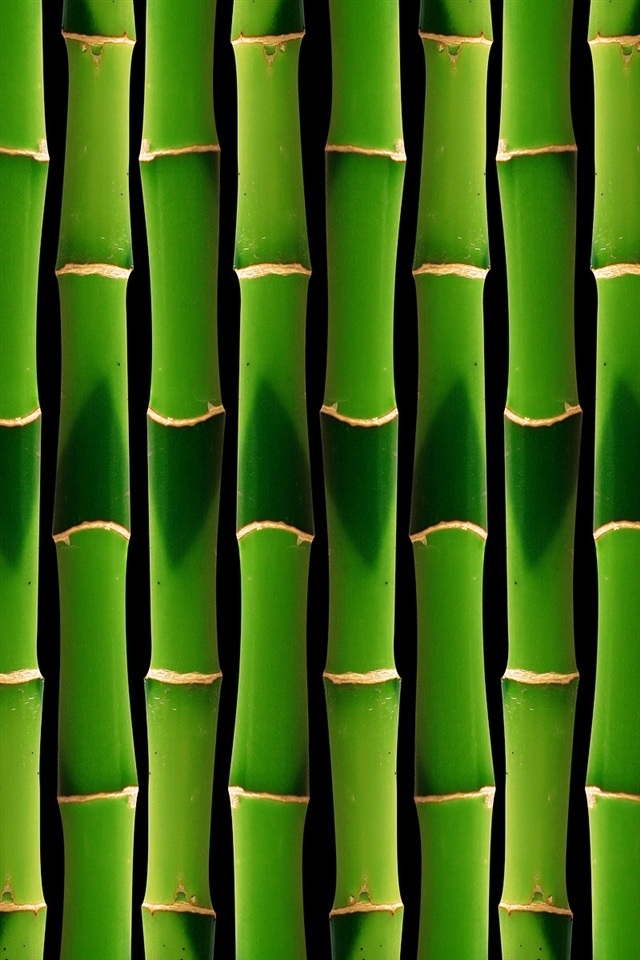 Hd Cool Green Bamboo Iphone 4 Wallpapers - Animated Green Bamboo Background - HD Wallpaper 
