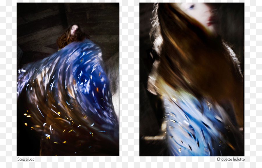 Seni Modern, Desktop Wallpaper, Lukisan Gambar Png - Visual Arts - HD Wallpaper 