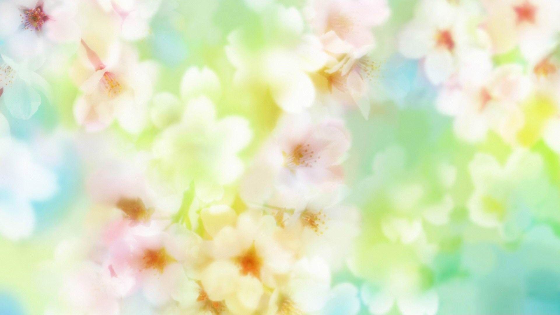 1920x1080, Beautiful Blossom Flowers Spring Theme Desktop - Free Flower - HD Wallpaper 