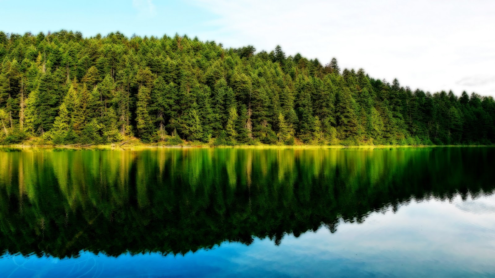 Friendship Is Listening - HD Wallpaper 