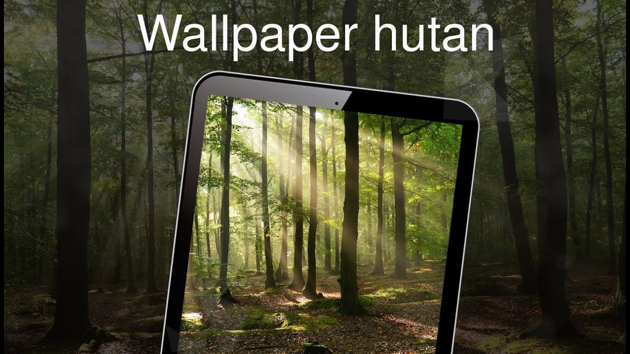 Balnevital - HD Wallpaper 