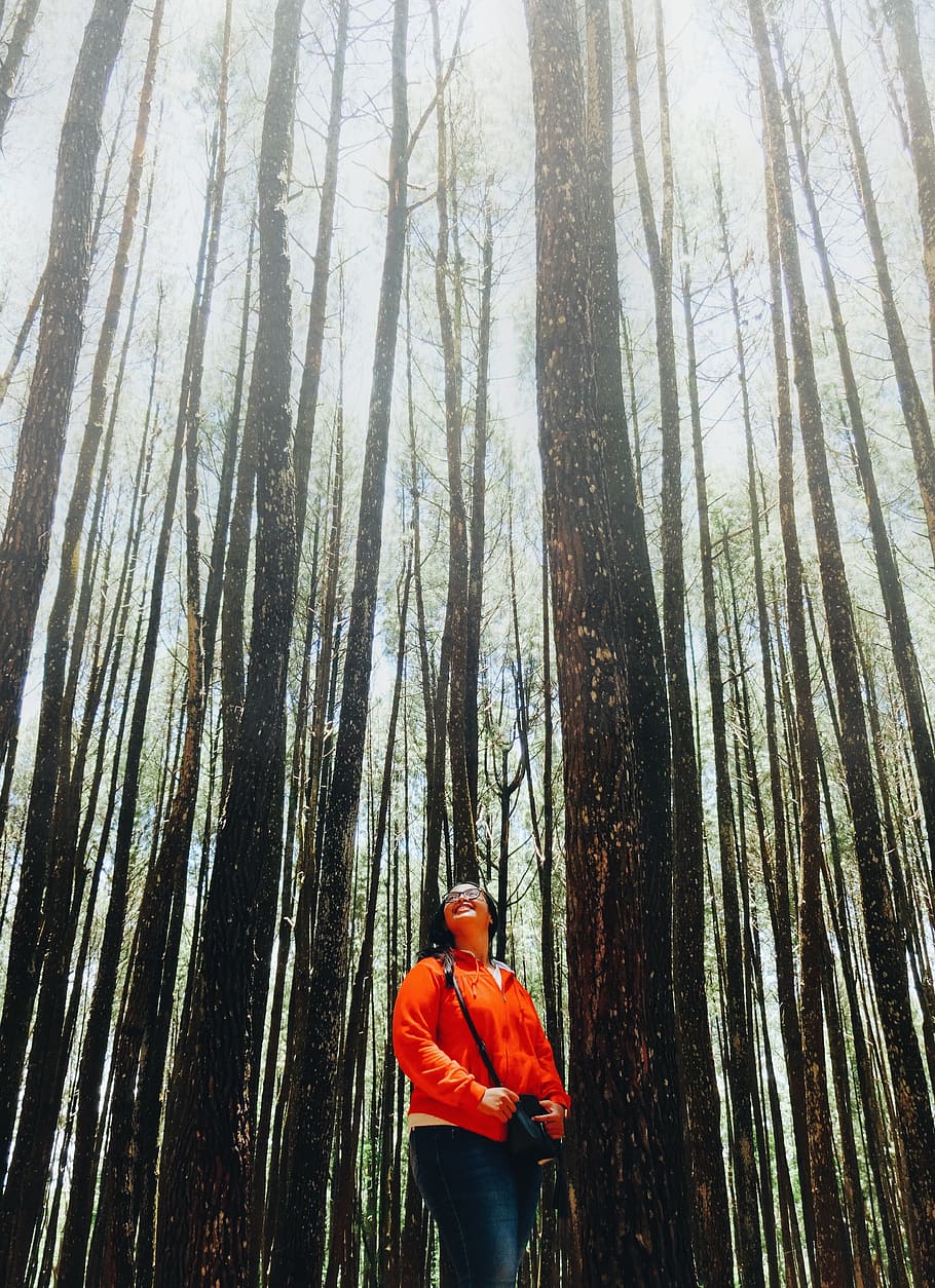 Grove - HD Wallpaper 