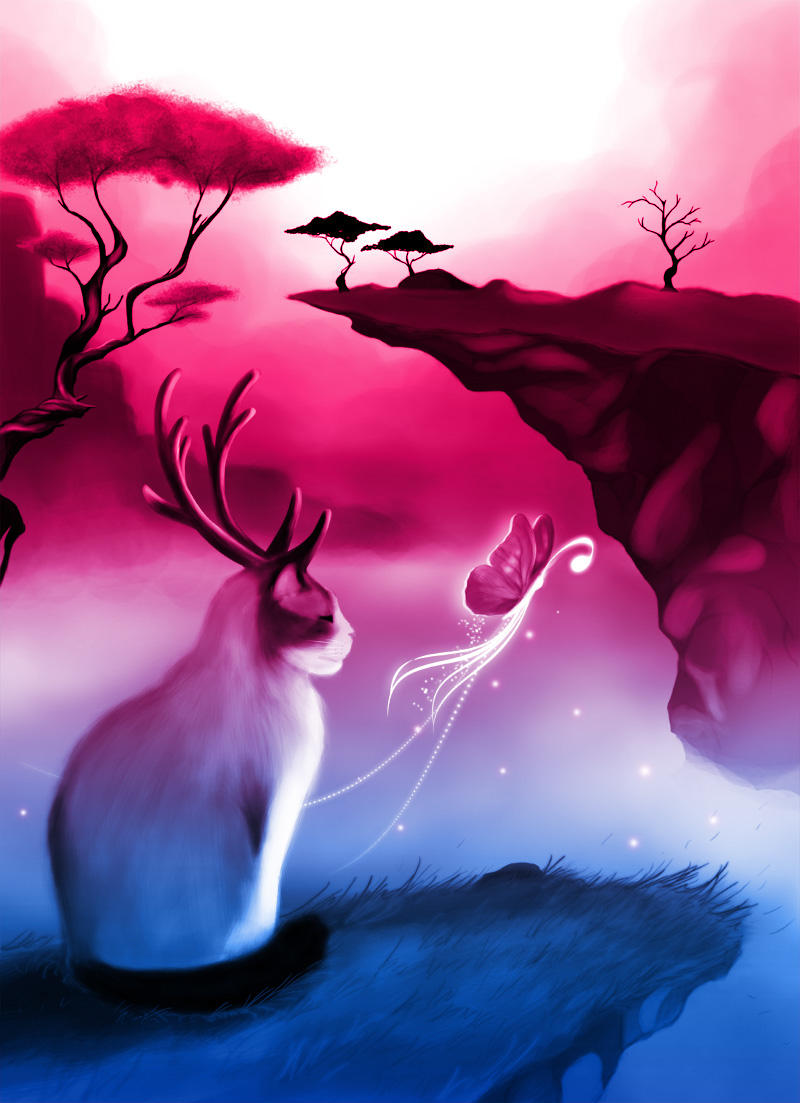 Wallpaper Gradasi Gradasi Warna Pink Biru 800x1103 Wallpaper