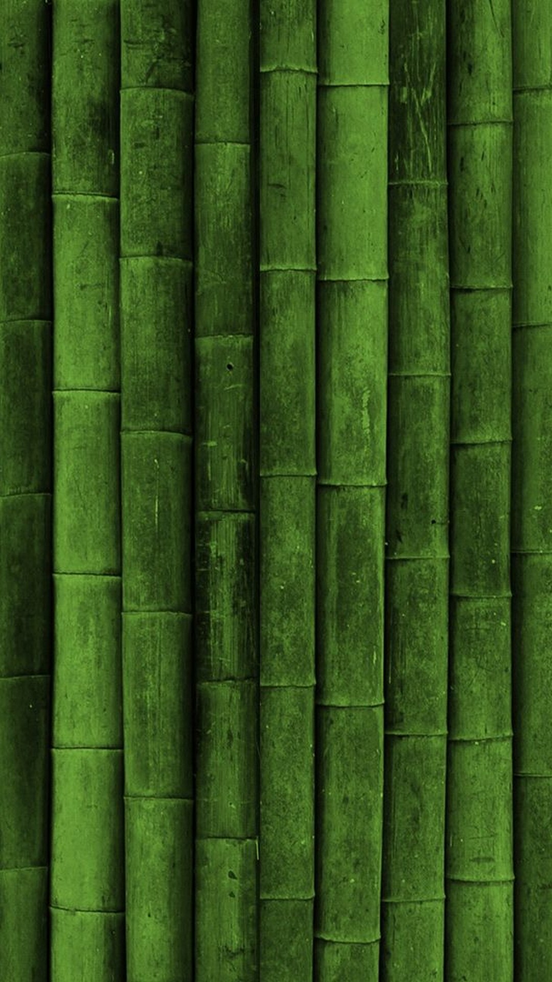 Iphone Wallpaper Dark Green With Image Resolution Pixel - Dark Green  Wallpaper Iphone 7 - 1080x1920 Wallpaper 
