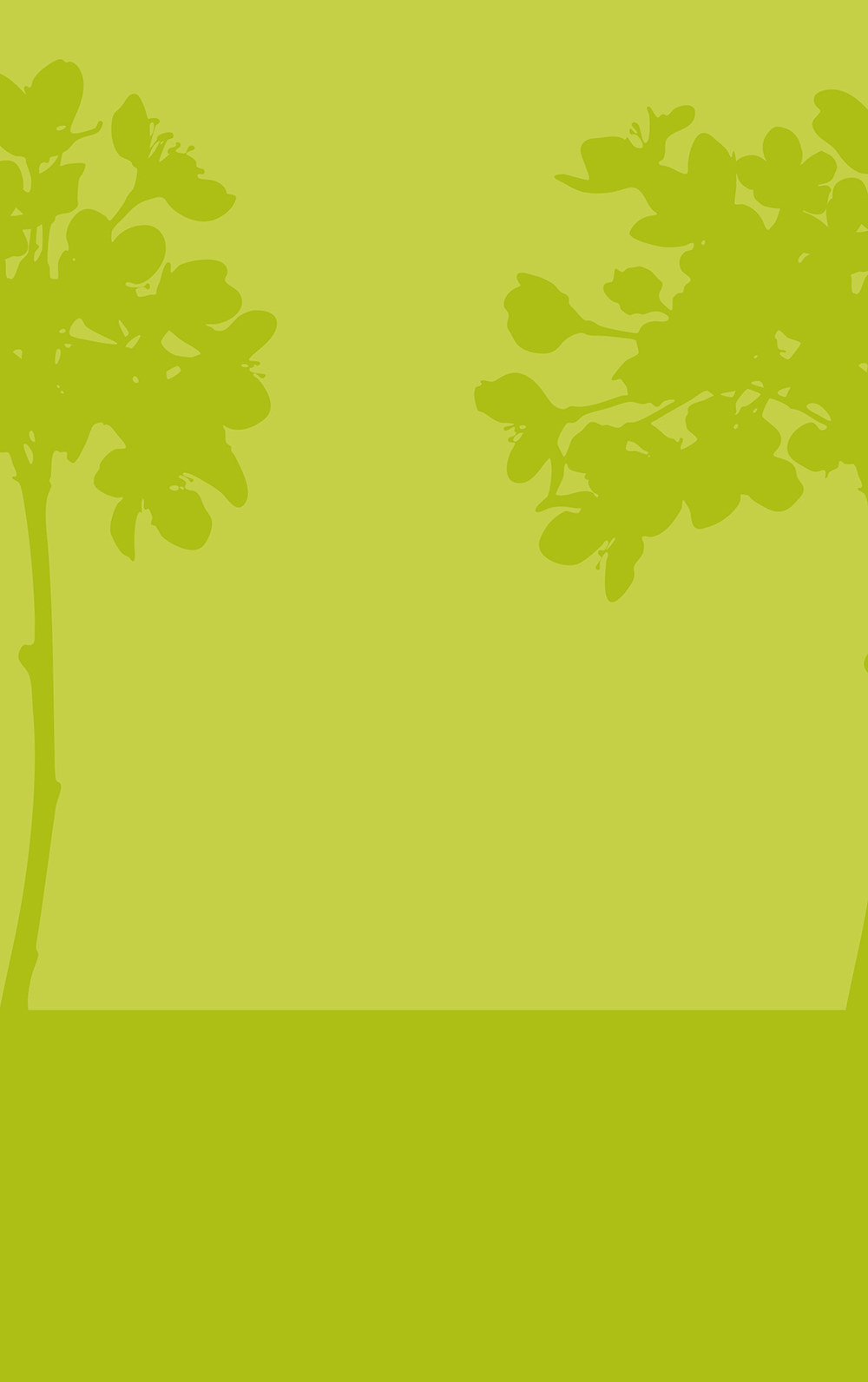 Tree - HD Wallpaper 