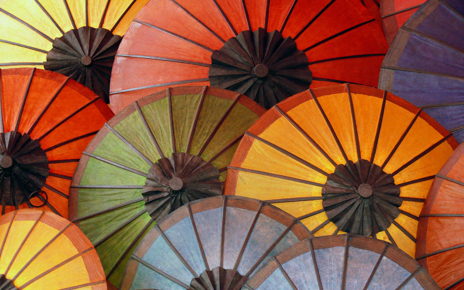 National Geographic Colour - HD Wallpaper 
