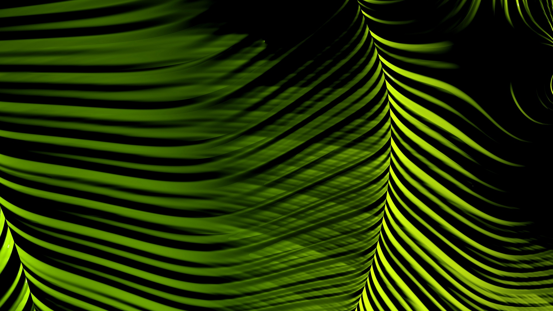Wallpaper Fractal, Lines, Winding, Green, Abstraction - Close-up - HD Wallpaper 