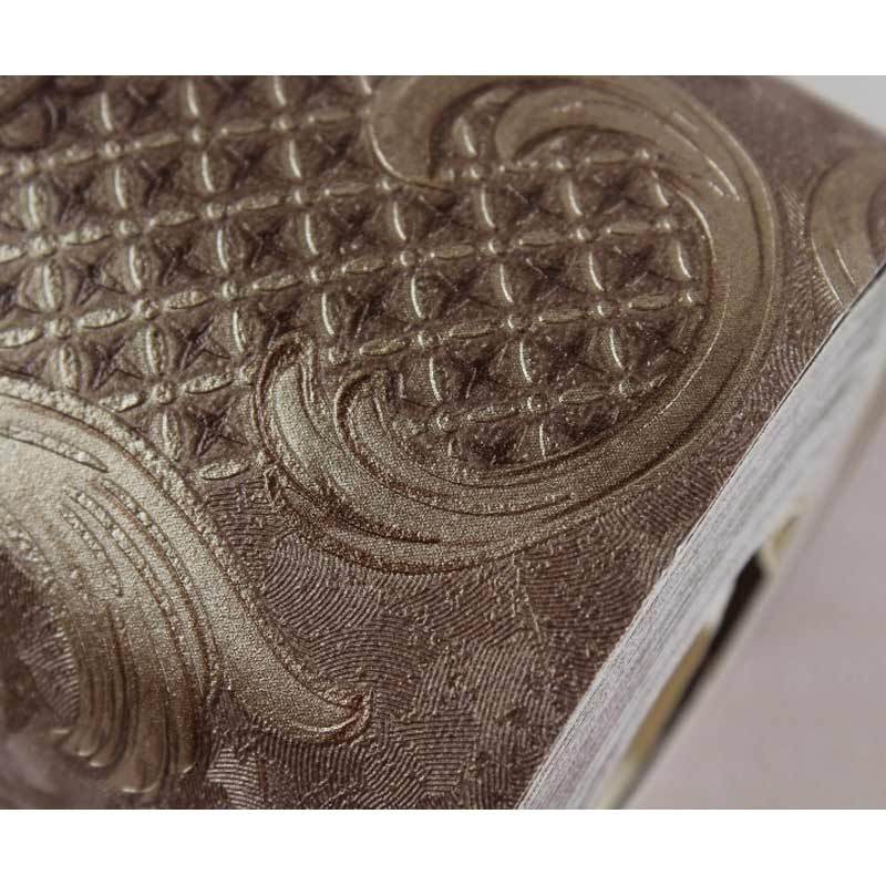 Close-up - HD Wallpaper 