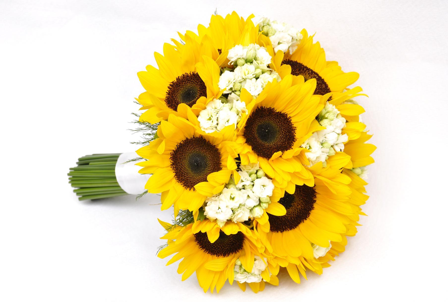 Sunflower Dream Sunflower And Jasmine Bouquet 1807x1217 Wallpaper