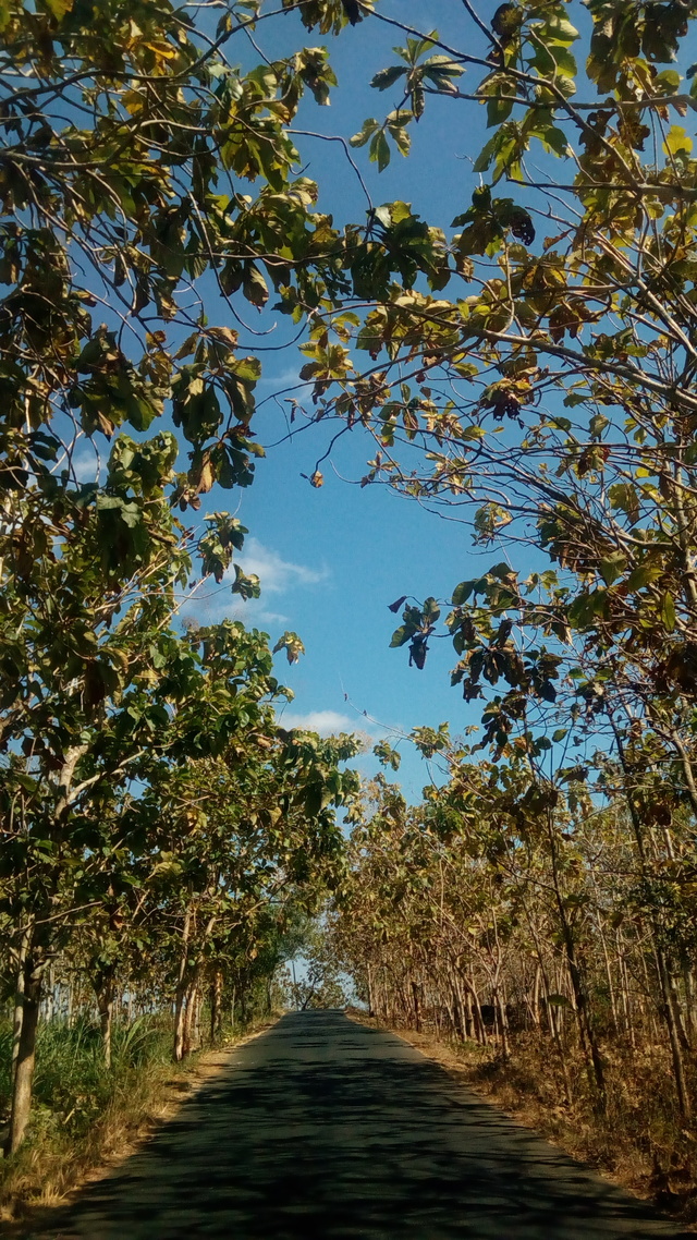 Dirt Road - HD Wallpaper 