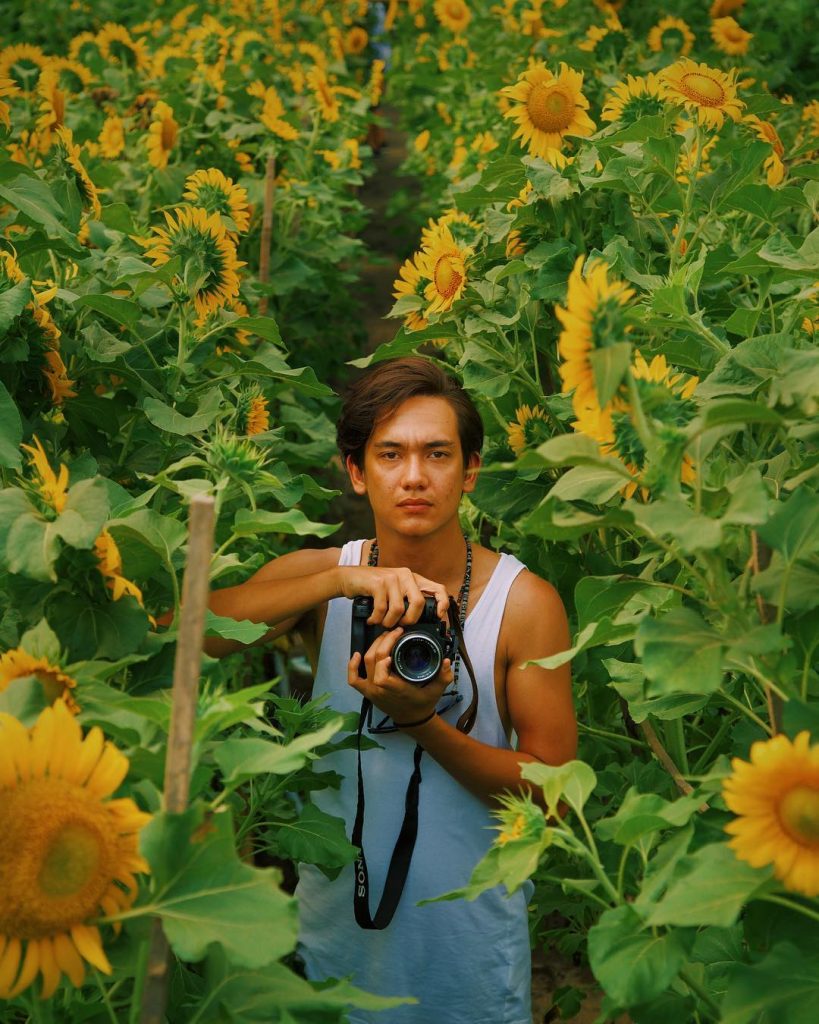 Adipati Dolken Di Kebun Bunga Matahari Jogja - Taman Bunga Matahari Bantul - HD Wallpaper 
