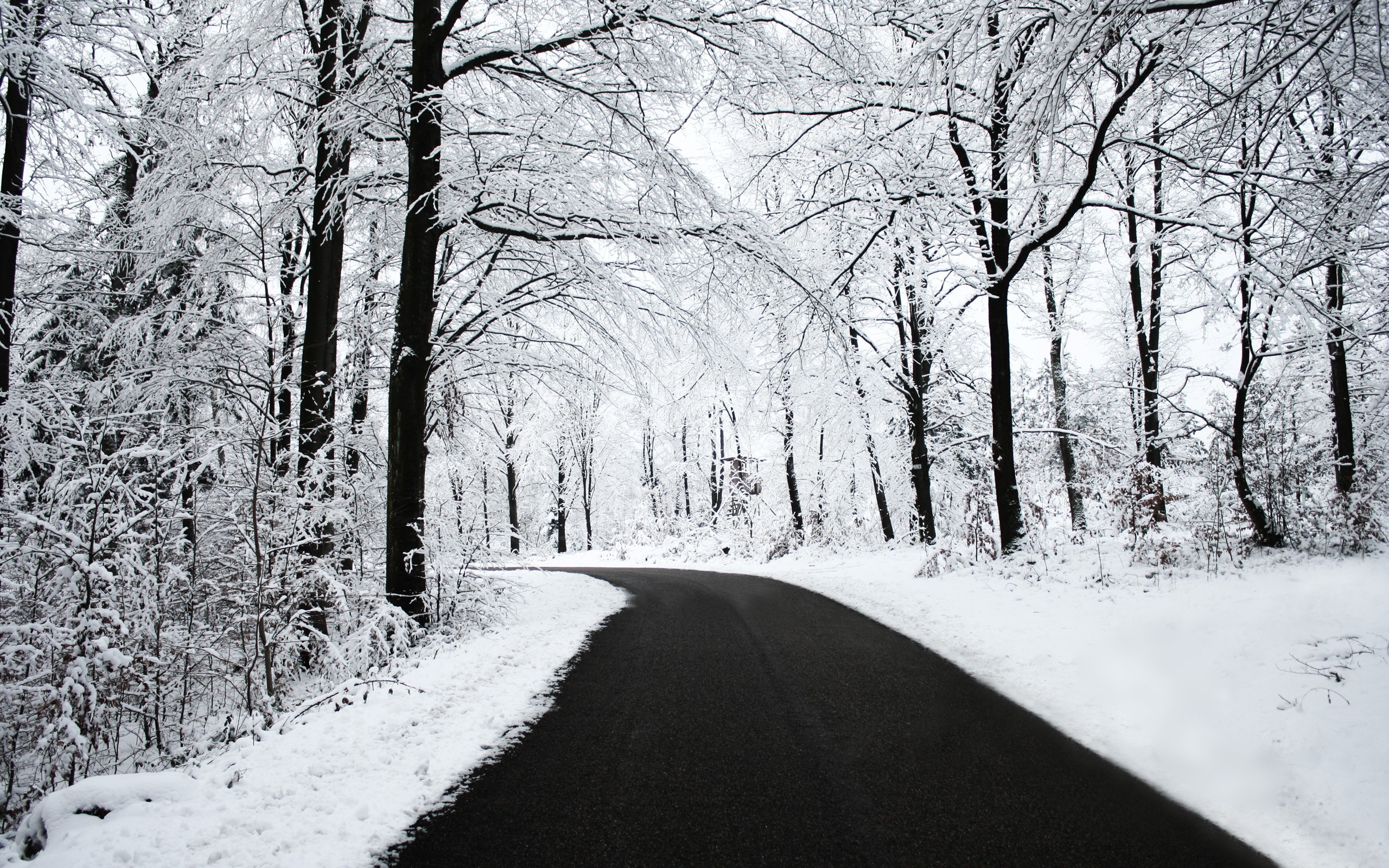 Road, Snow, Black, White, Winter, Forest, Nature Wallpapers - Snowy Forest Wallpaper Hd - HD Wallpaper 