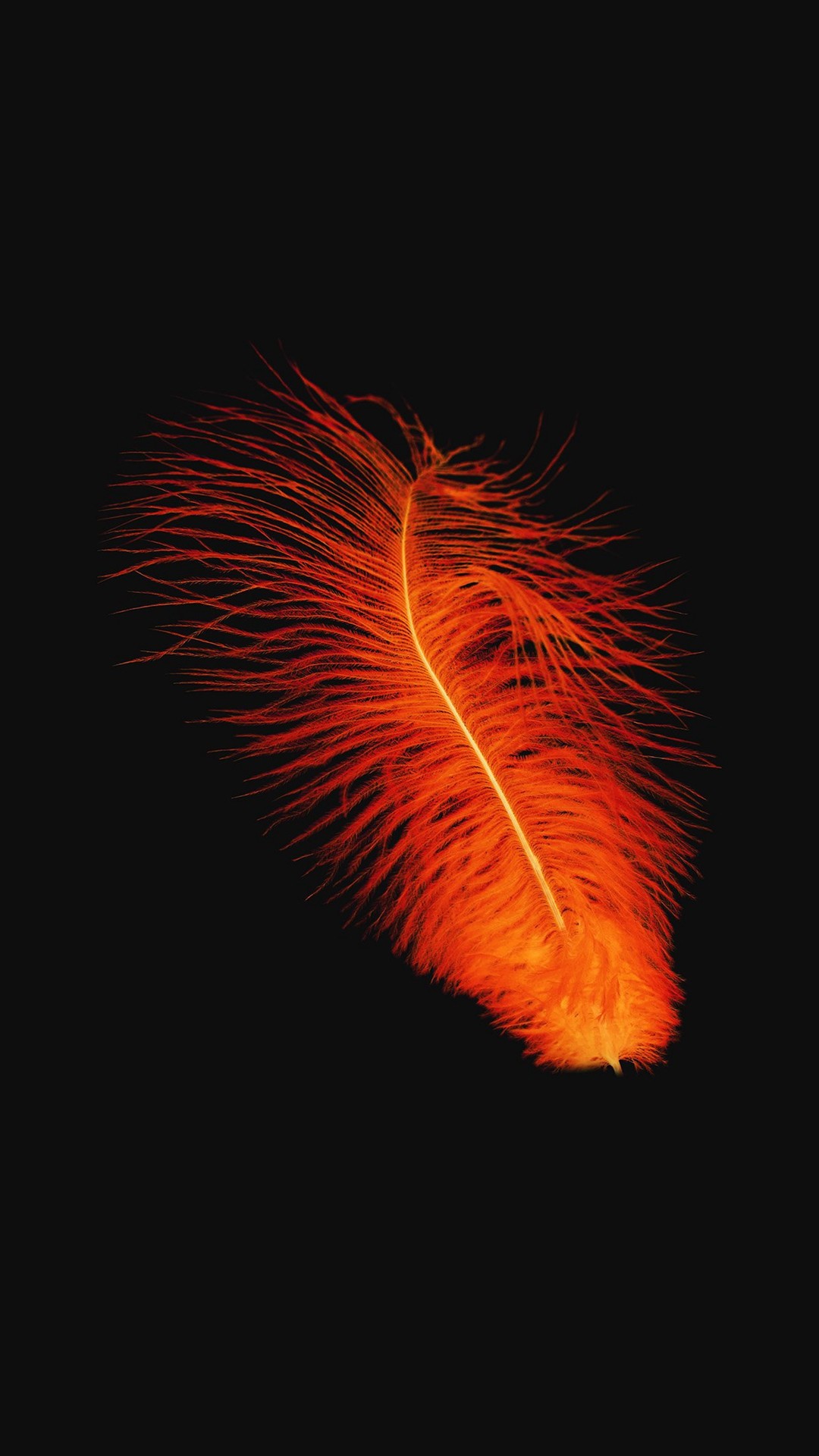Feather Orange Dark Nature Minimal Iphone 8 Wallpaper - Iphone 6 Orange - 1080x1920 Wallpaper Feather Orange Dark Nature Minimal Iphone 8 Wallpaper - Iphone 6 Orange - 1080x1920 Wallpaper