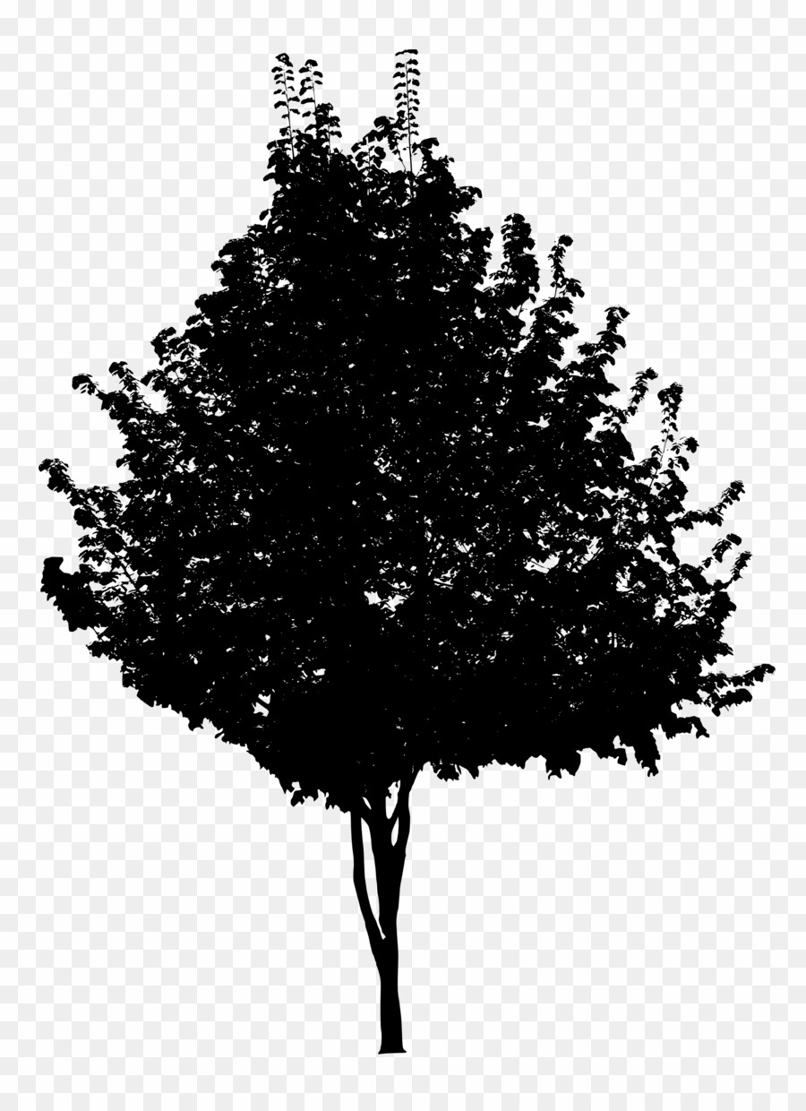 Png Black Tree White Background Desktop Wallpaper Tree - Arboles Blanco Y Negro - HD Wallpaper 