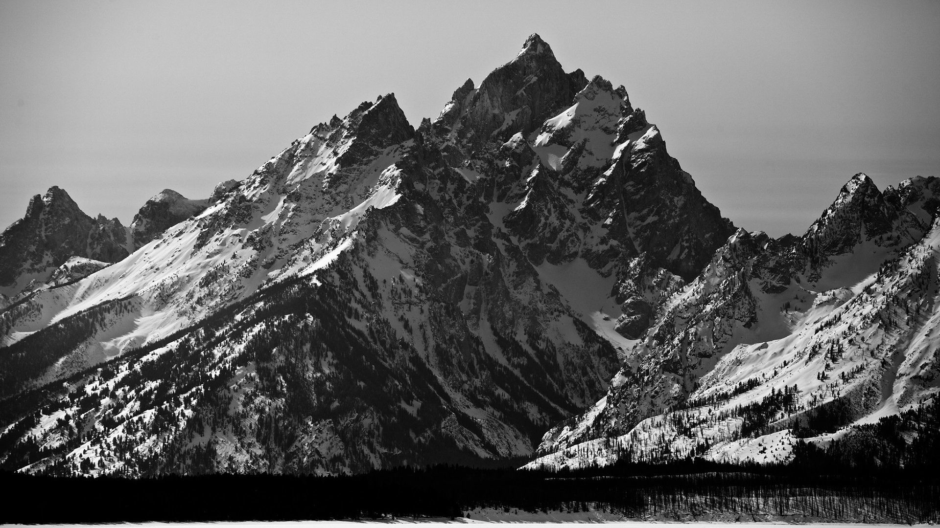 White Tag - Grand Teton National Park, Mount Moran - HD Wallpaper 