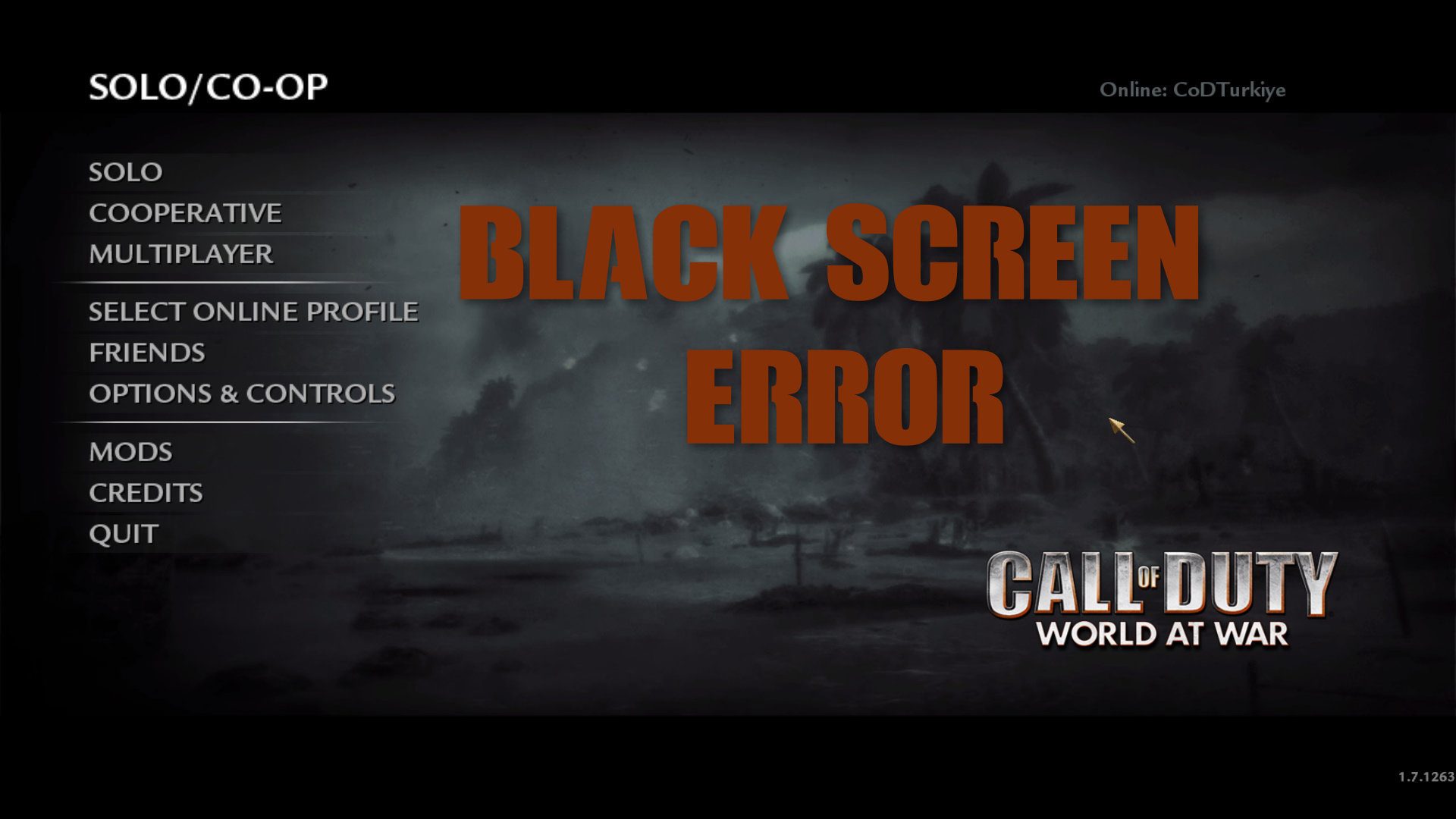 Siyah Ekran Wallpaper - Call Of Duty World - HD Wallpaper 